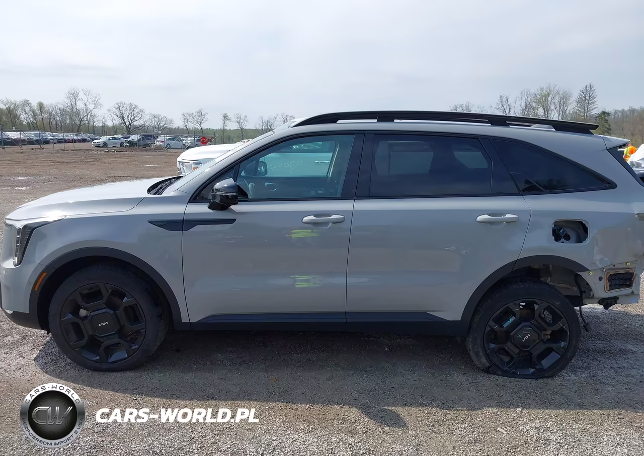 2024 Kia Sorento X-Line Sx VIN:5XYRKDJF3RG304023 - 15