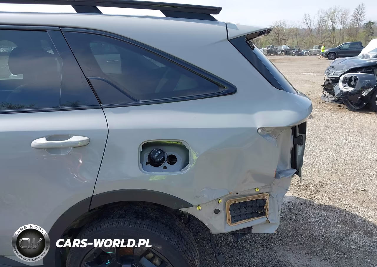 2024 Kia Sorento X-Line Sx VIN:5XYRKDJF3RG304023 - 18
