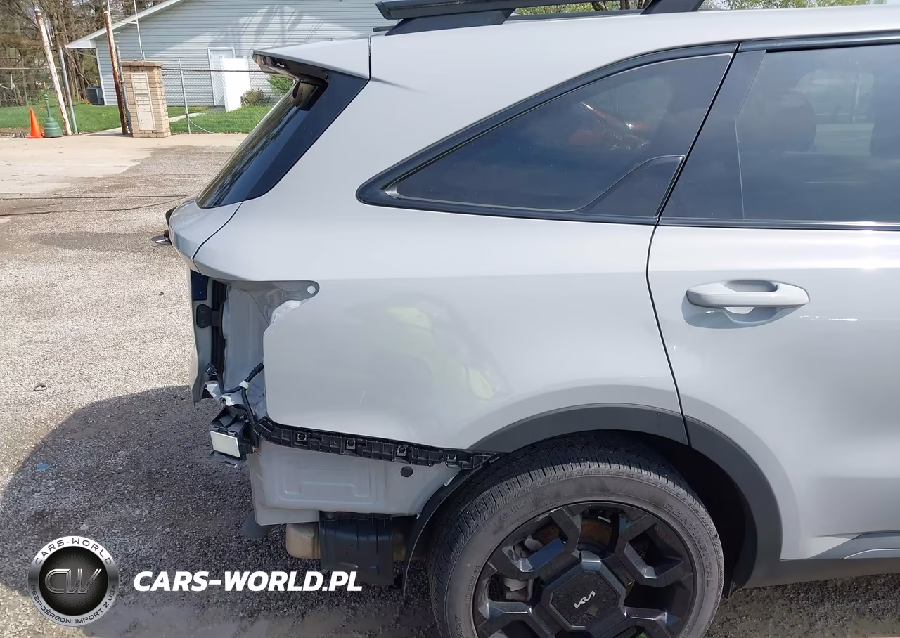 2024 Kia Sorento X-Line Sx VIN:5XYRKDJF3RG304023 - 19