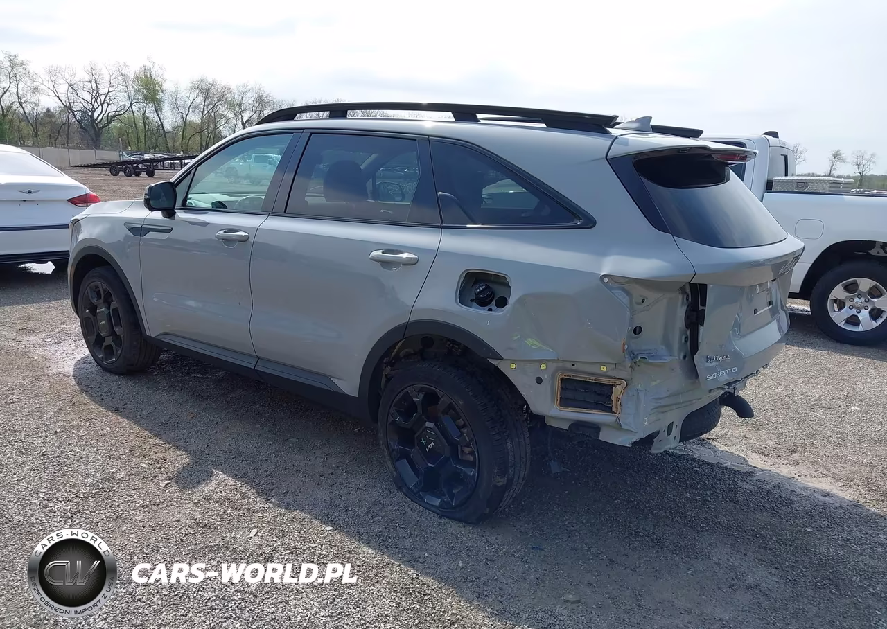 2024 Kia Sorento X-Line Sx VIN:5XYRKDJF3RG304023 - 3