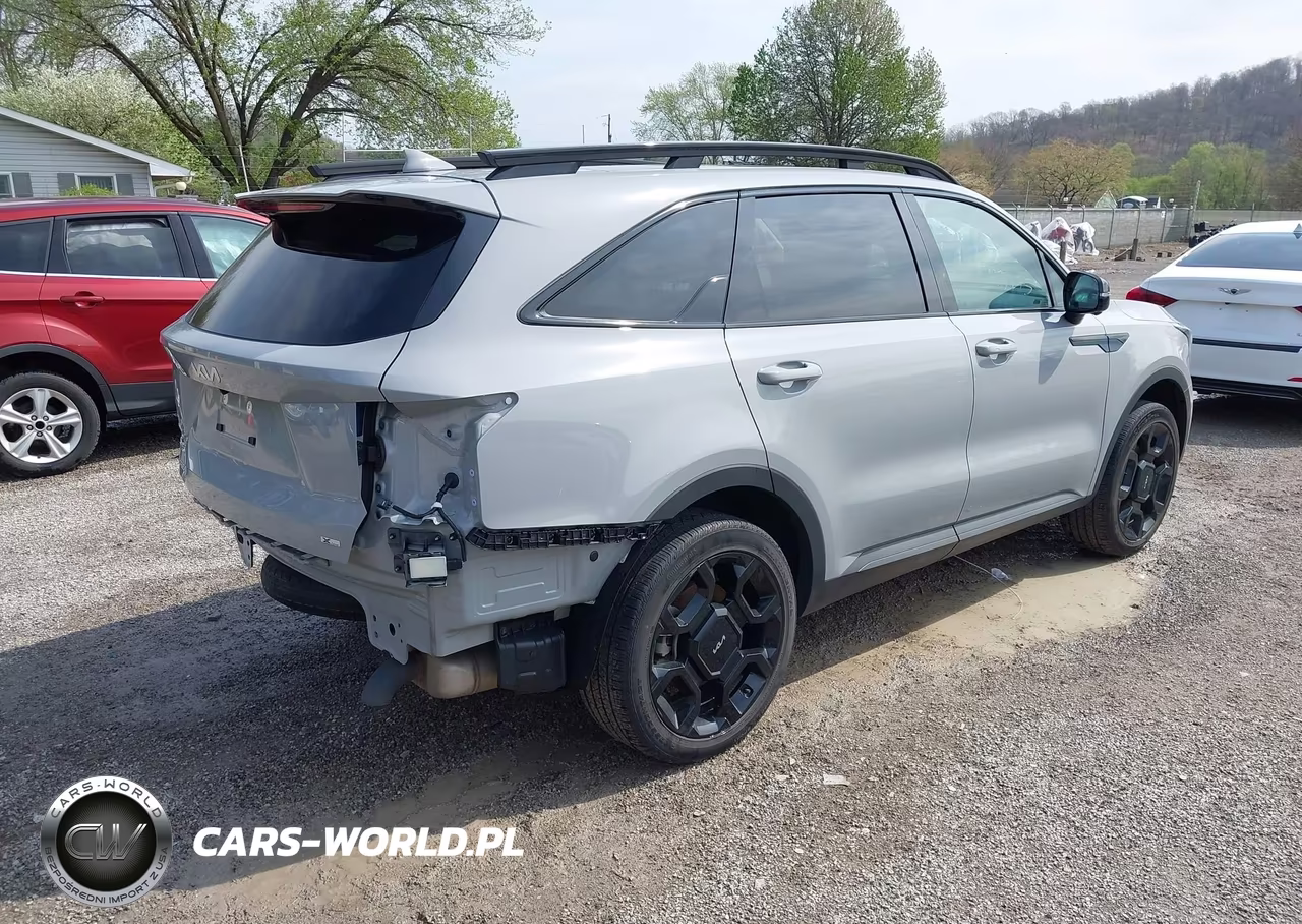 2024 Kia Sorento X-Line Sx VIN:5XYRKDJF3RG304023 - 4