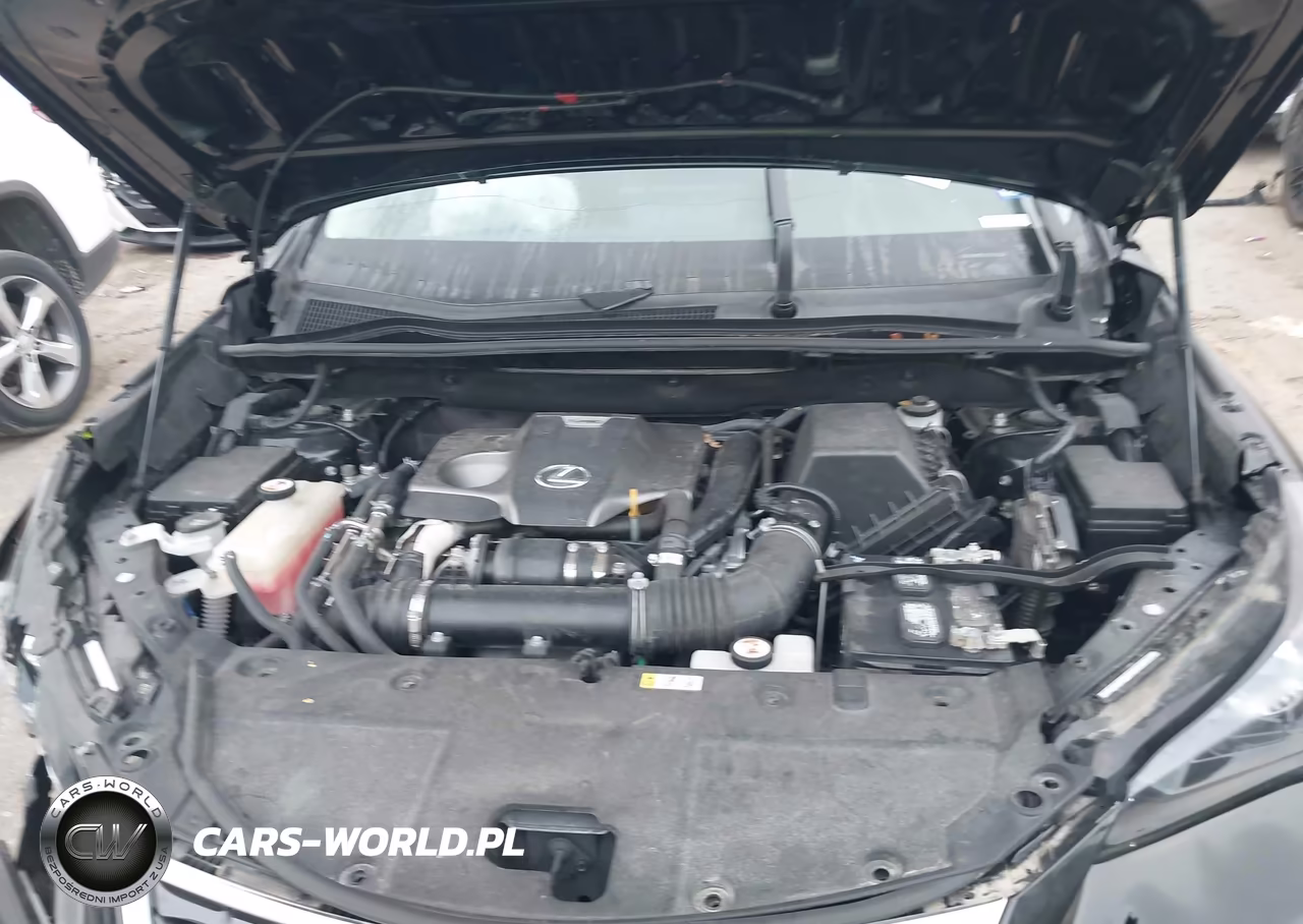 2020 Lexus Nx 300 VIN:JTJAARBZ1L2159357 - 10