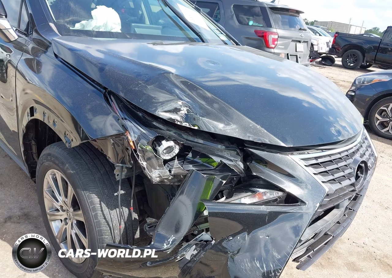 2020 Lexus Nx 300 VIN:JTJAARBZ1L2159357 - 12