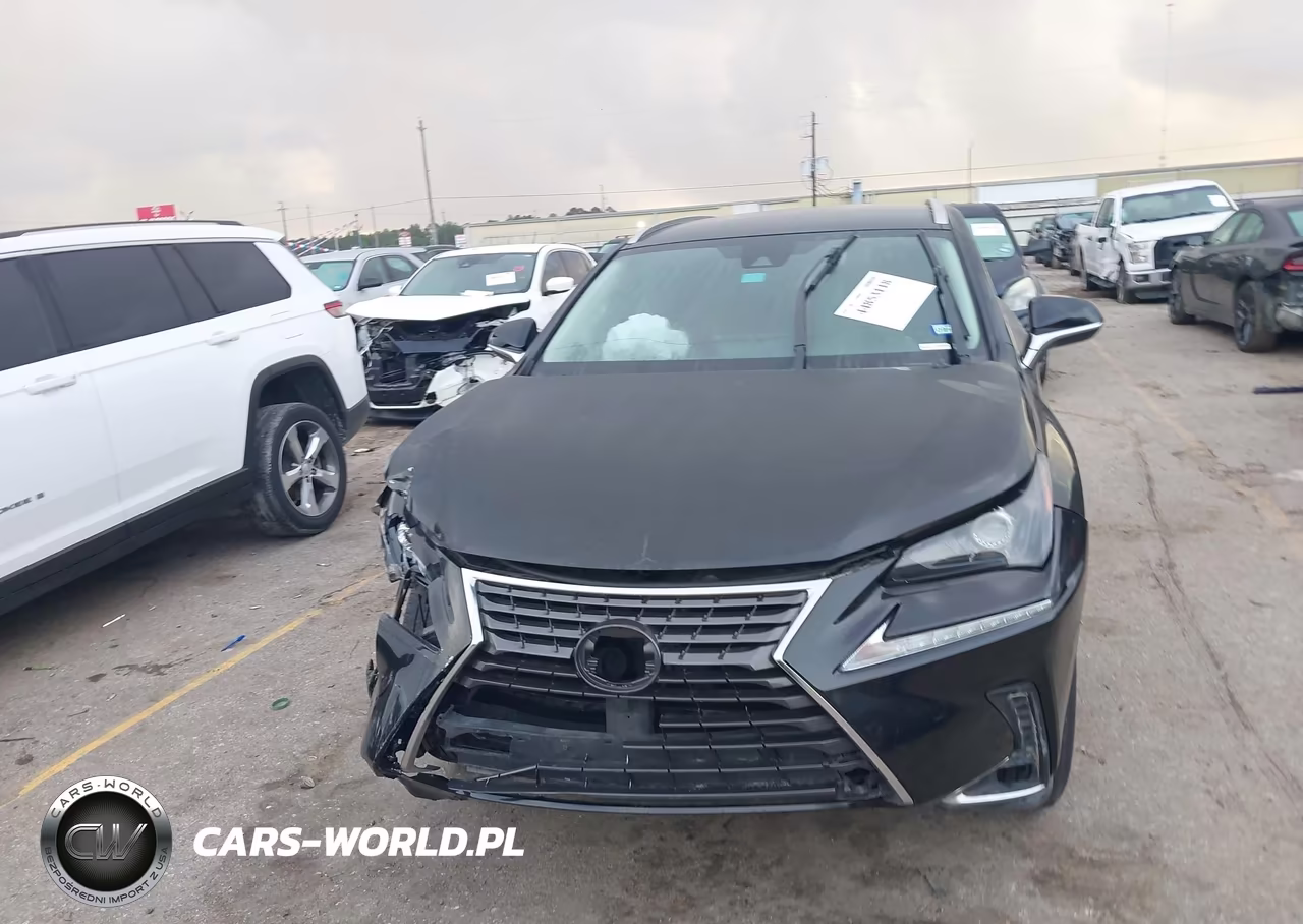 2020 Lexus Nx 300 VIN:JTJAARBZ1L2159357 - 13