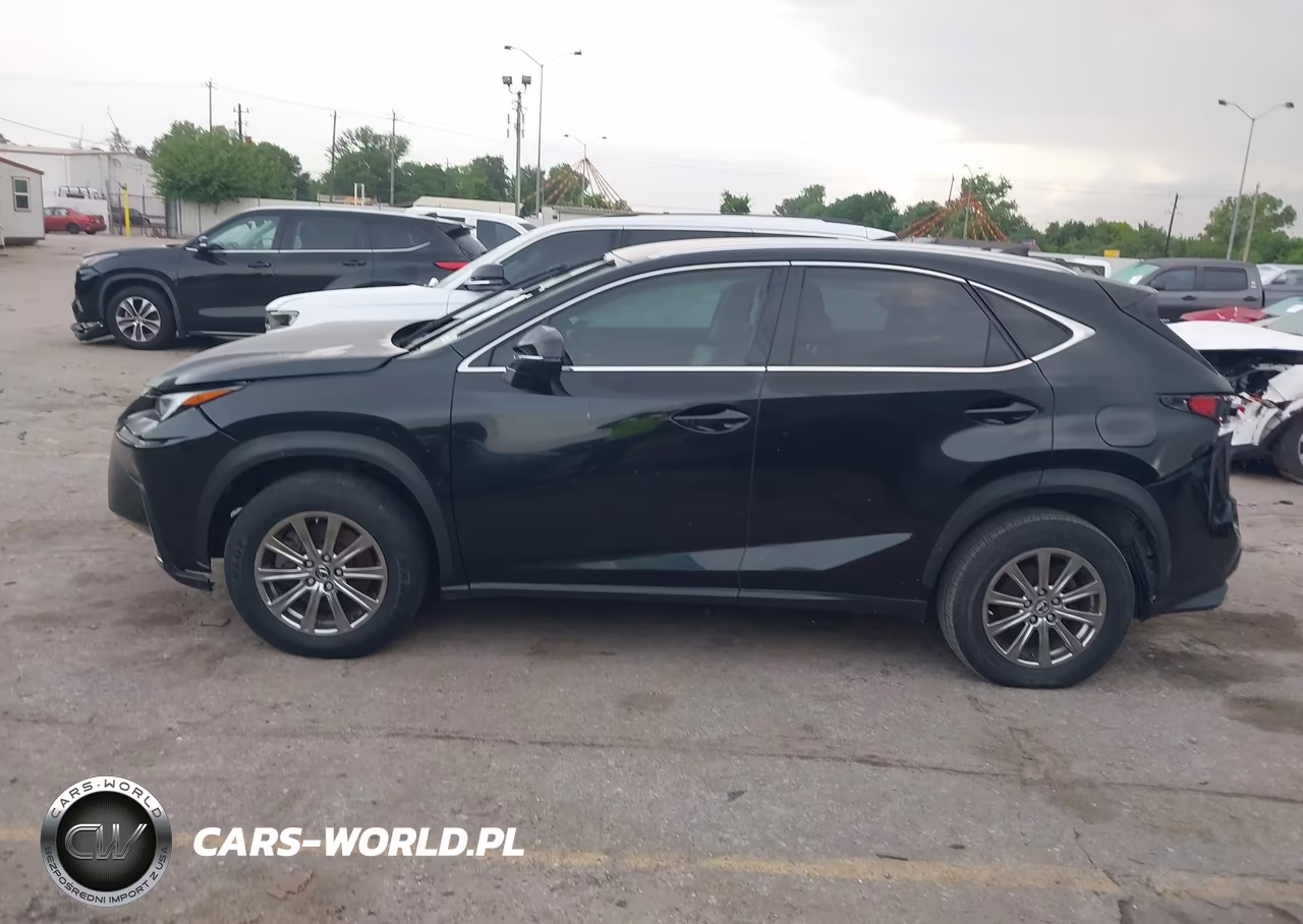 2020 Lexus Nx 300 VIN:JTJAARBZ1L2159357 - 15