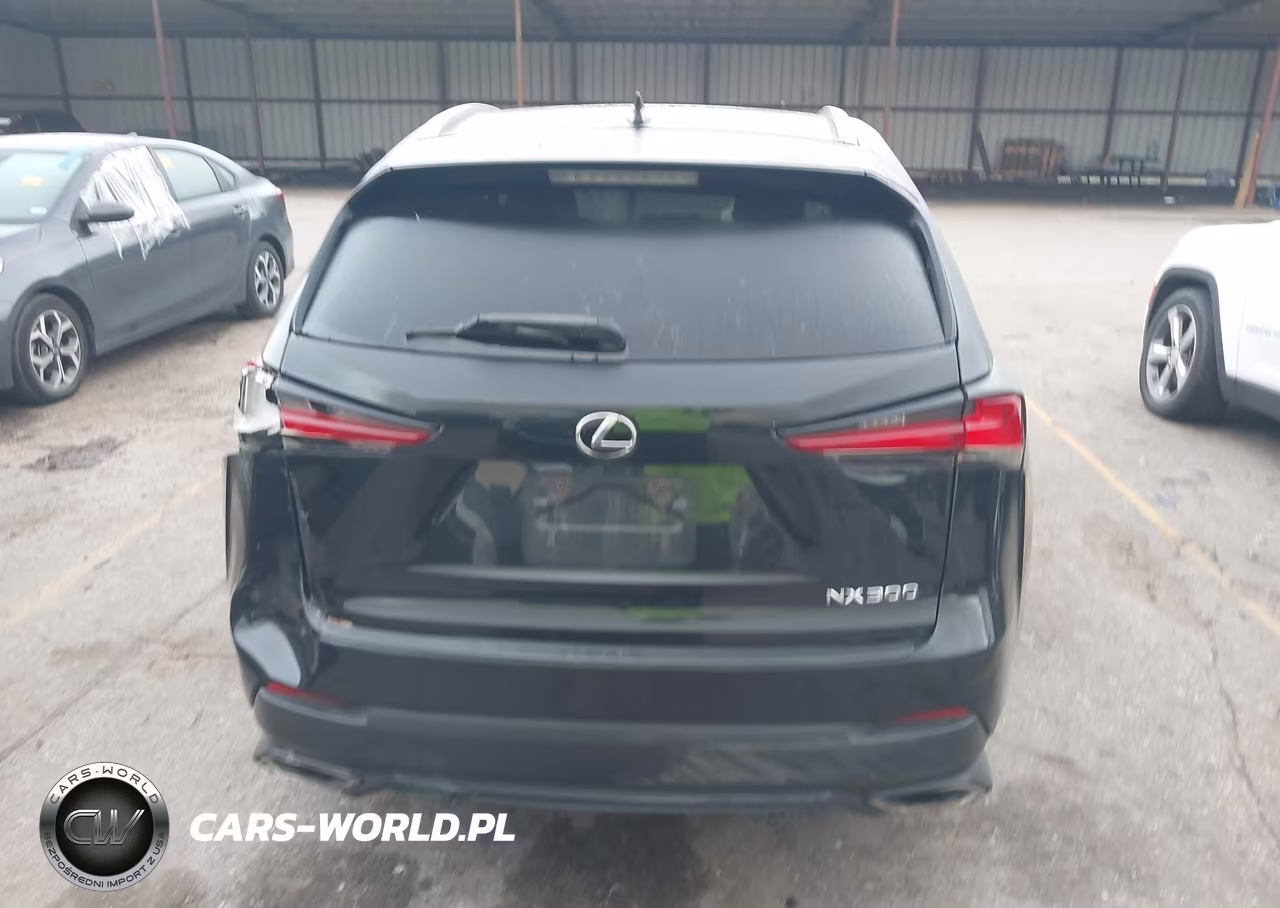 2020 Lexus Nx 300 VIN:JTJAARBZ1L2159357 - 17
