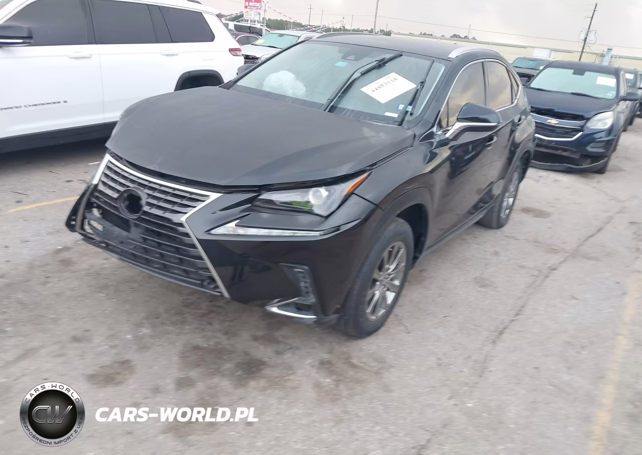2020 Lexus Nx 300 VIN:JTJAARBZ1L2159357 - 2