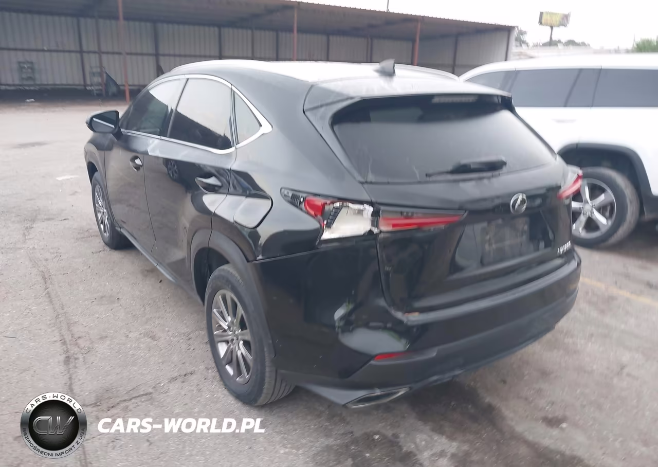 2020 Lexus Nx 300 VIN:JTJAARBZ1L2159357 - 3