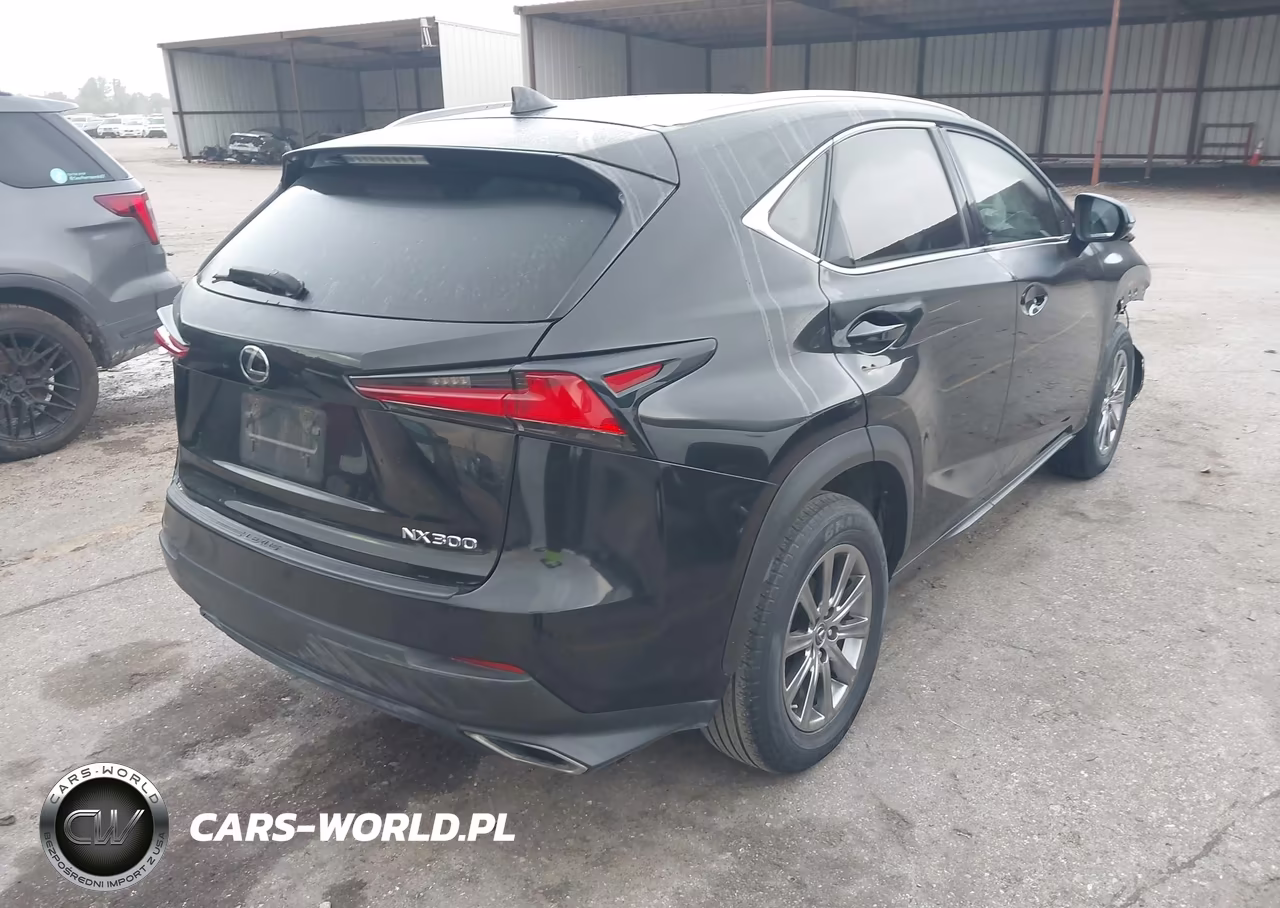 2020 Lexus Nx 300 VIN:JTJAARBZ1L2159357 - 4
