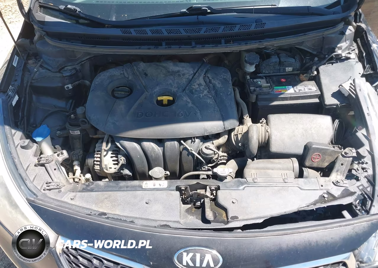 2014 Kia Forte Lx VIN:KNAFX4A66E5183346 - 10