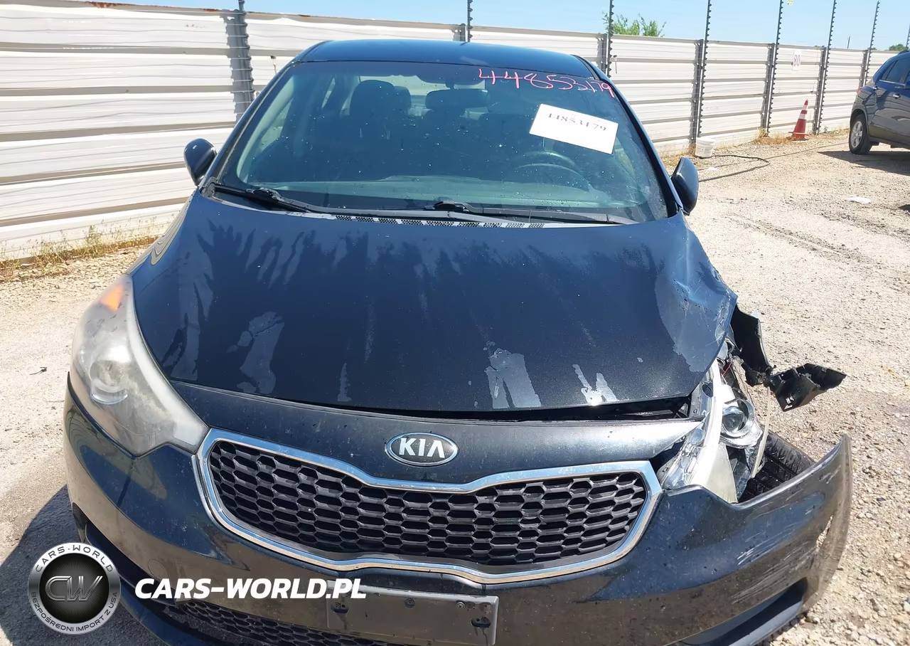 2014 Kia Forte Lx VIN:KNAFX4A66E5183346 - 11