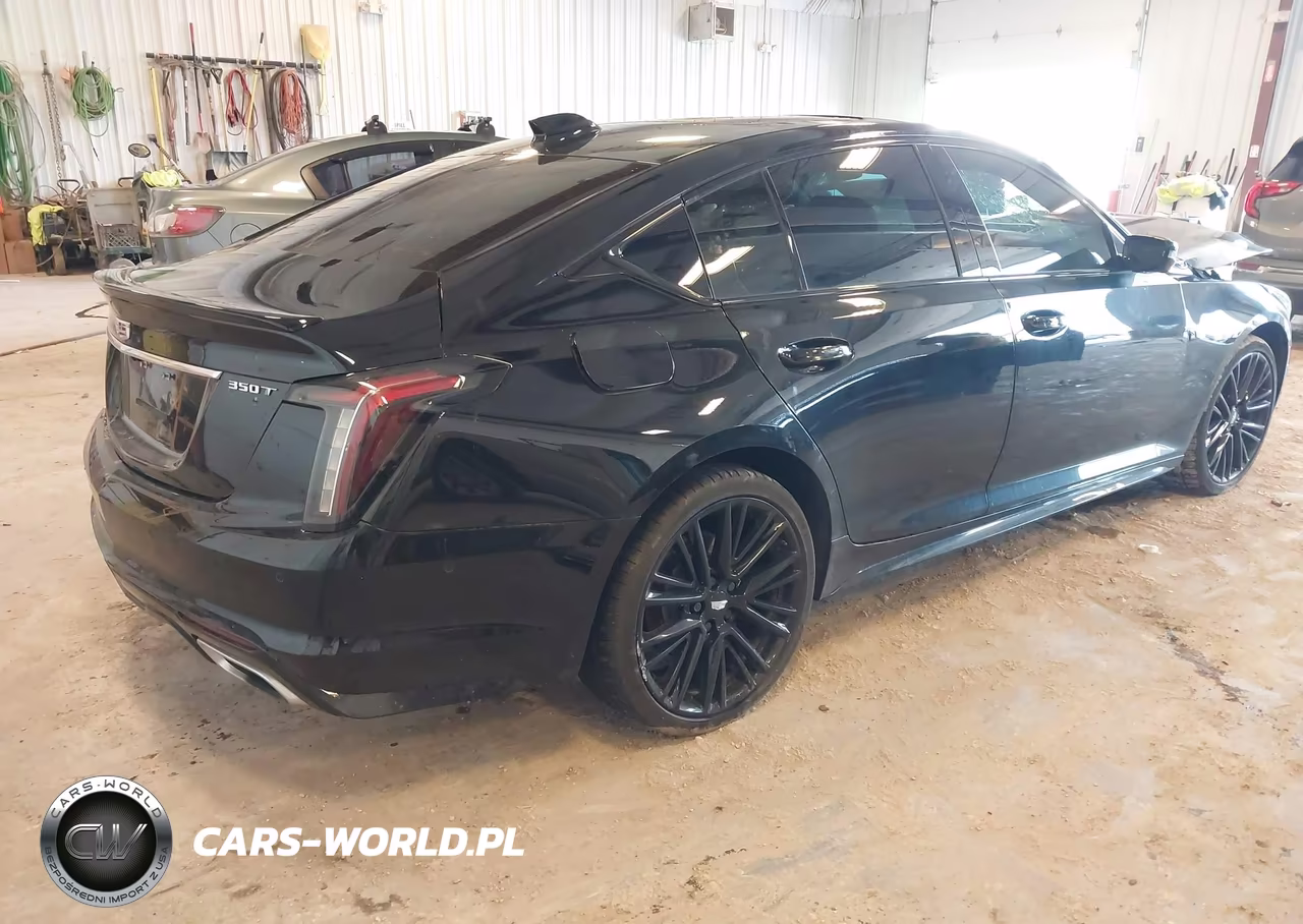 2025 Cadillac Ct5 Sport Rwd VIN:1G6DU5RK1S0104011 - 4