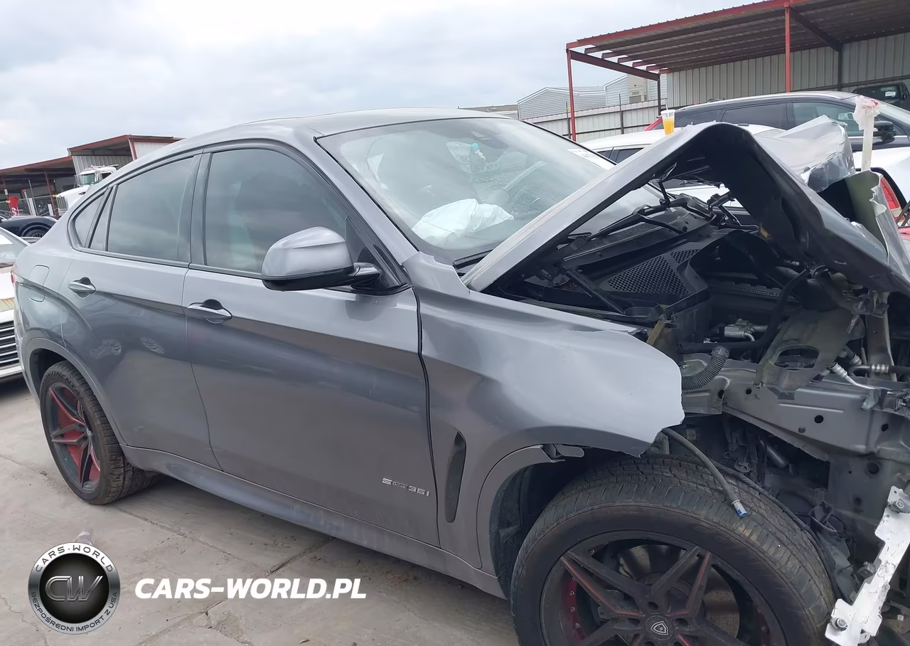 2016 BMW X6 Sdrive35I VIN:5UXKU0C52G0F93246 - 12