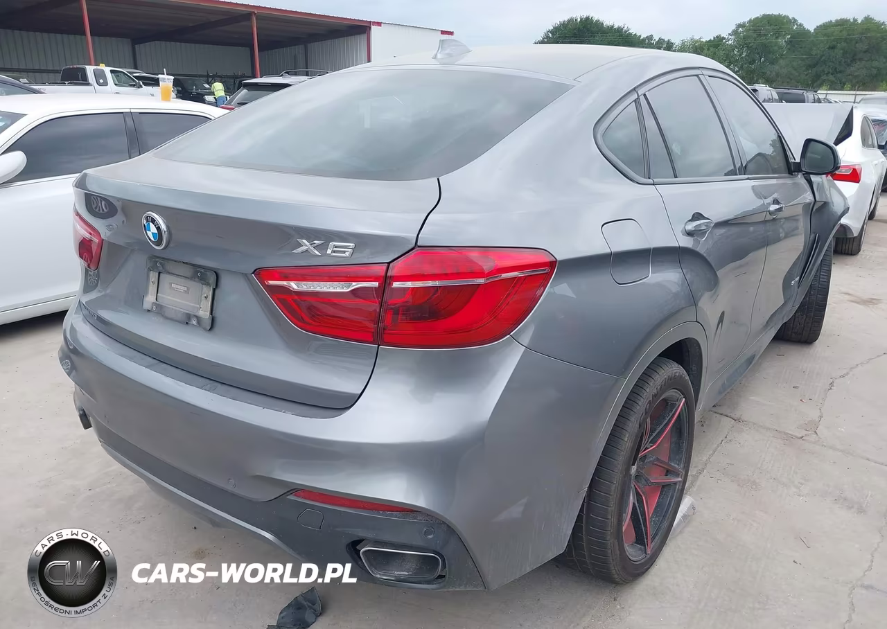 2016 BMW X6 Sdrive35I VIN:5UXKU0C52G0F93246 - 4