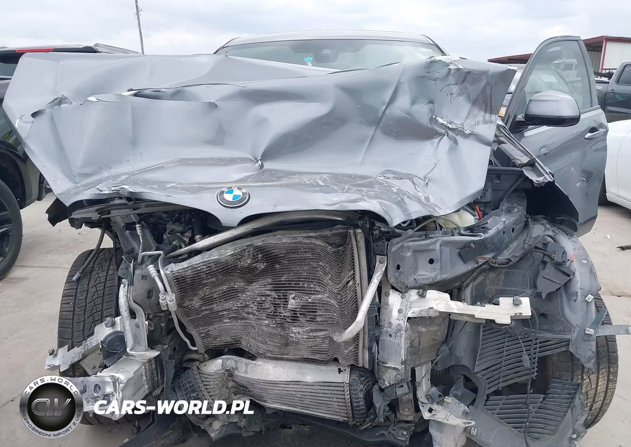 2016 BMW X6 Sdrive35I VIN:5UXKU0C52G0F93246 - 6