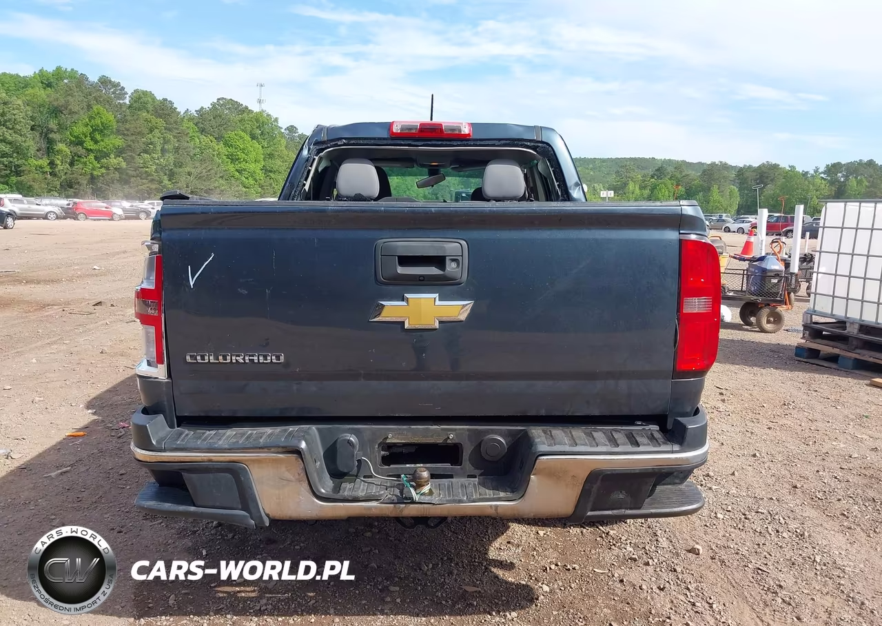 2019 Chevrolet Colorado Wt VIN:1GCGSBEA7K1354830 - 17