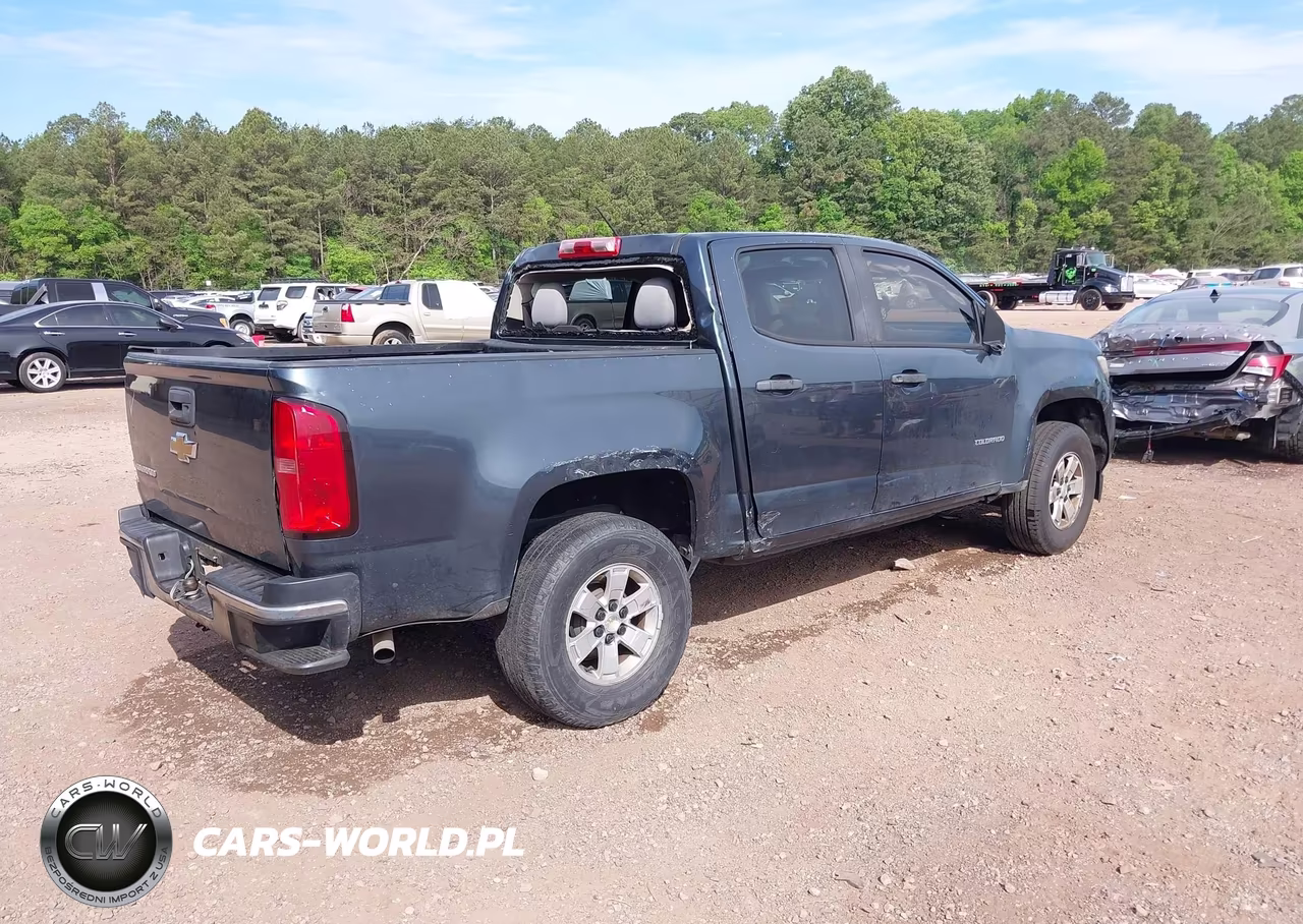 2019 Chevrolet Colorado Wt VIN:1GCGSBEA7K1354830 - 4