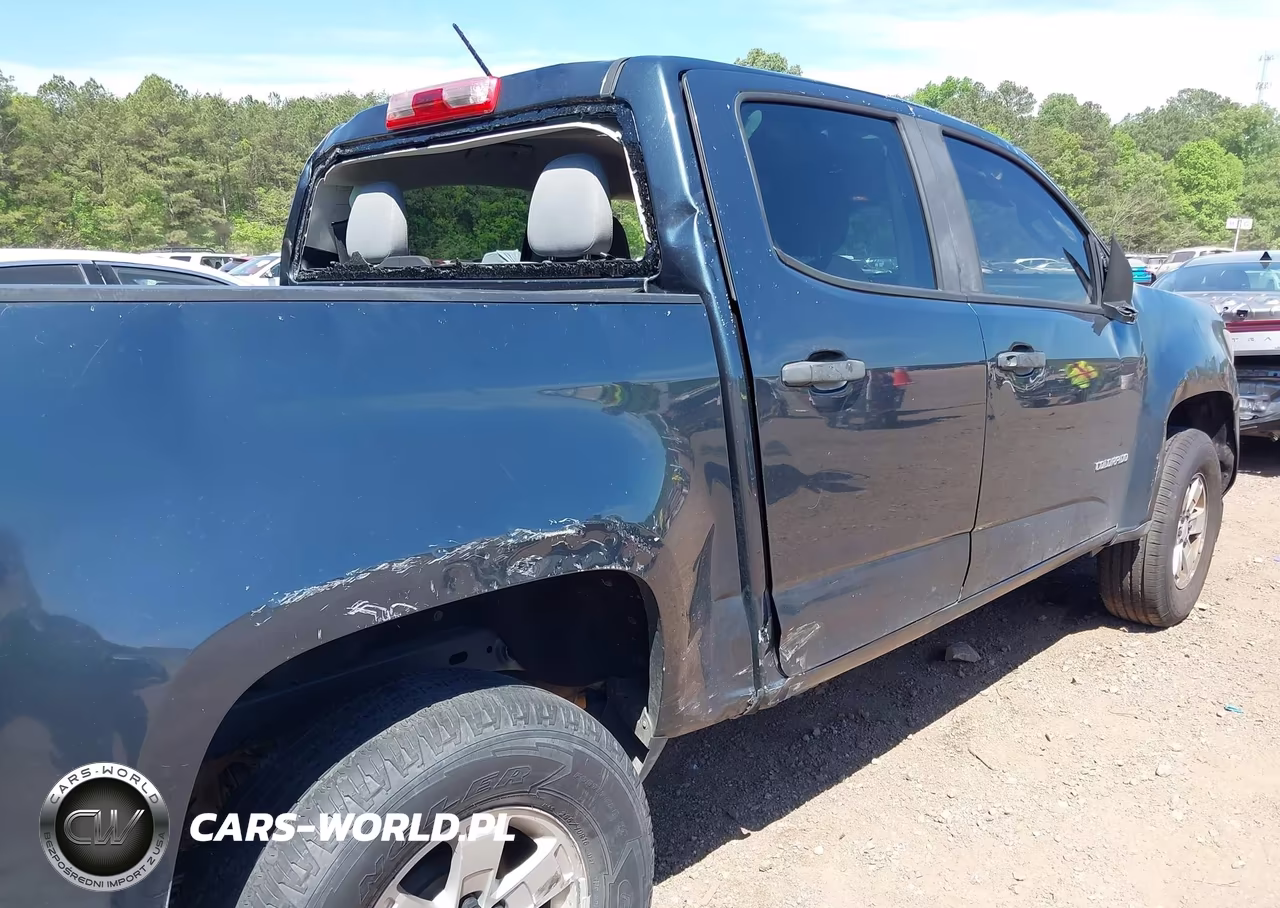 2019 Chevrolet Colorado Wt VIN:1GCGSBEA7K1354830 - 6