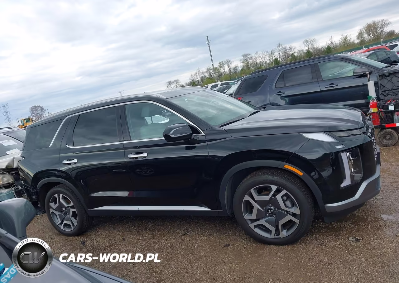 2025 Hyundai Palisade Sel Premium VIN:KM8R4DGE5SU853022 - 14