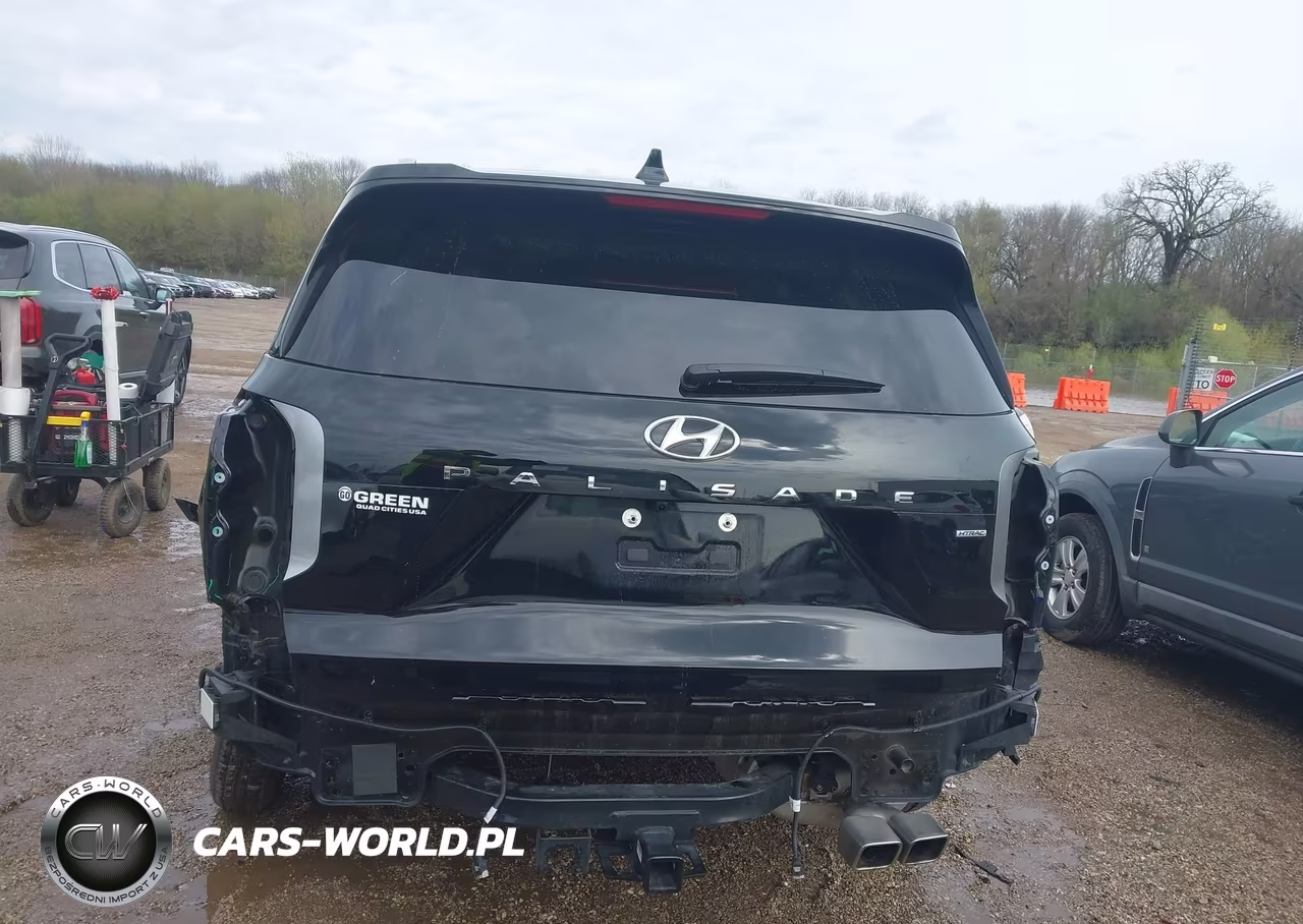 2025 Hyundai Palisade Sel Premium VIN:KM8R4DGE5SU853022 - 17