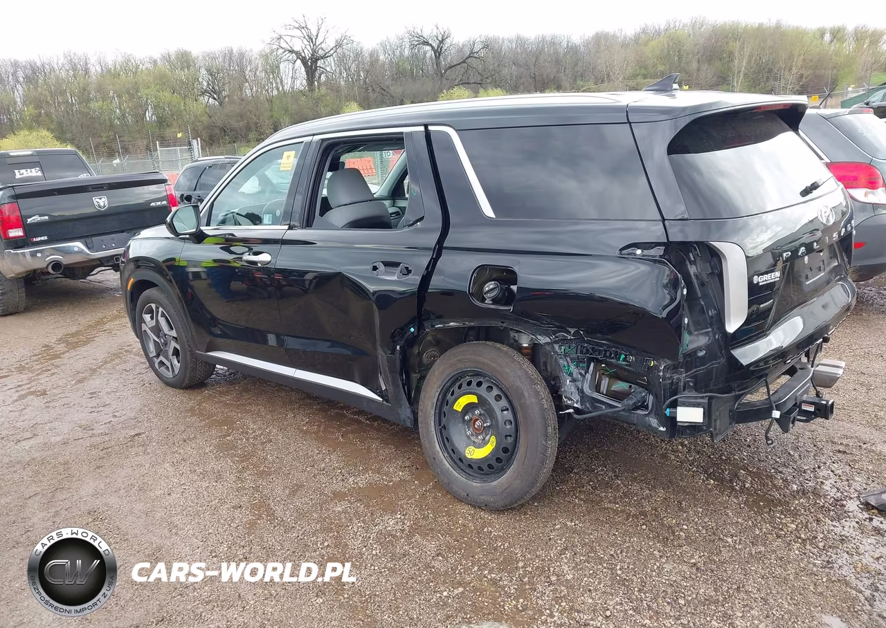 2025 Hyundai Palisade Sel Premium VIN:KM8R4DGE5SU853022 - 3