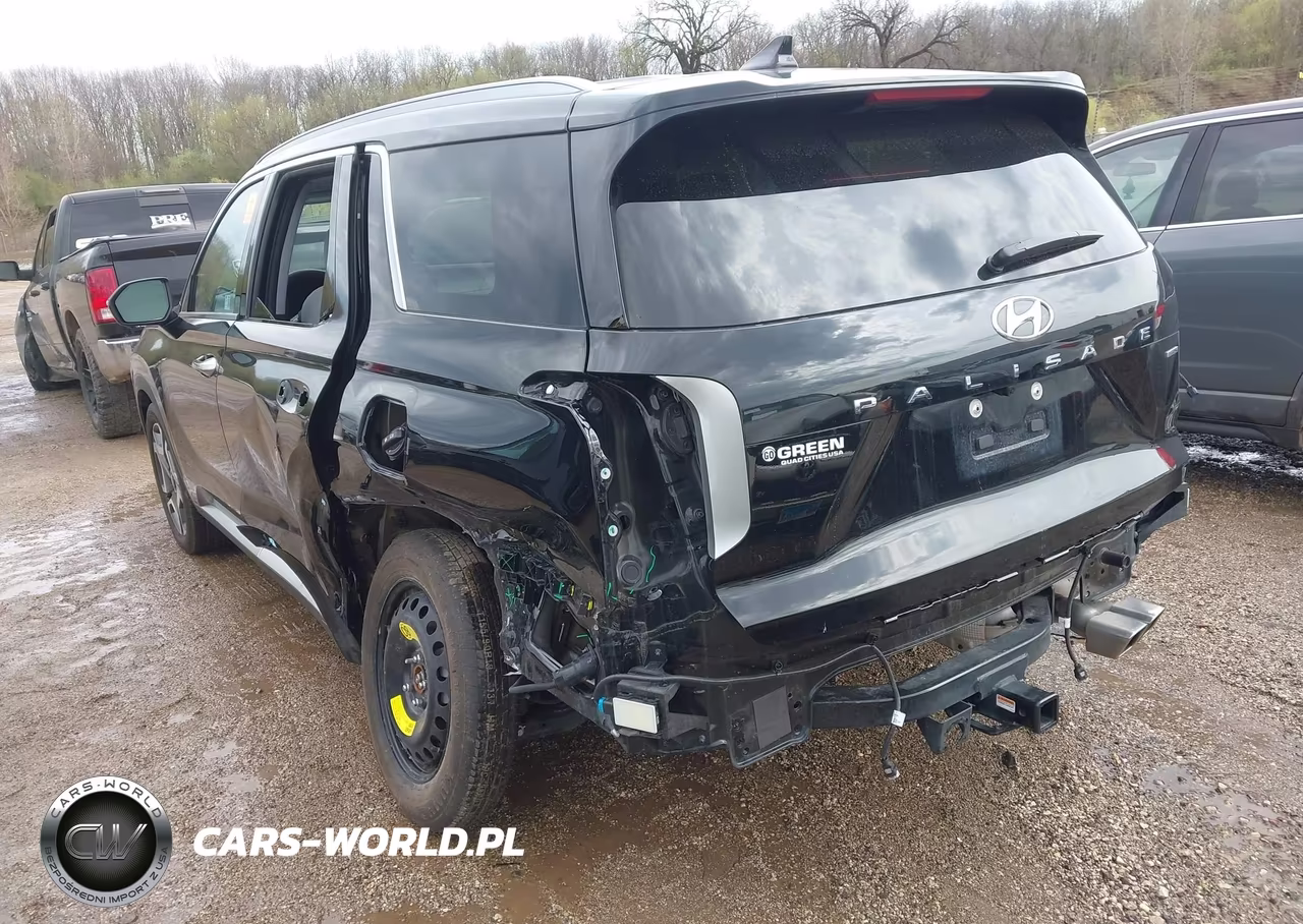 2025 Hyundai Palisade Sel Premium VIN:KM8R4DGE5SU853022 - 6