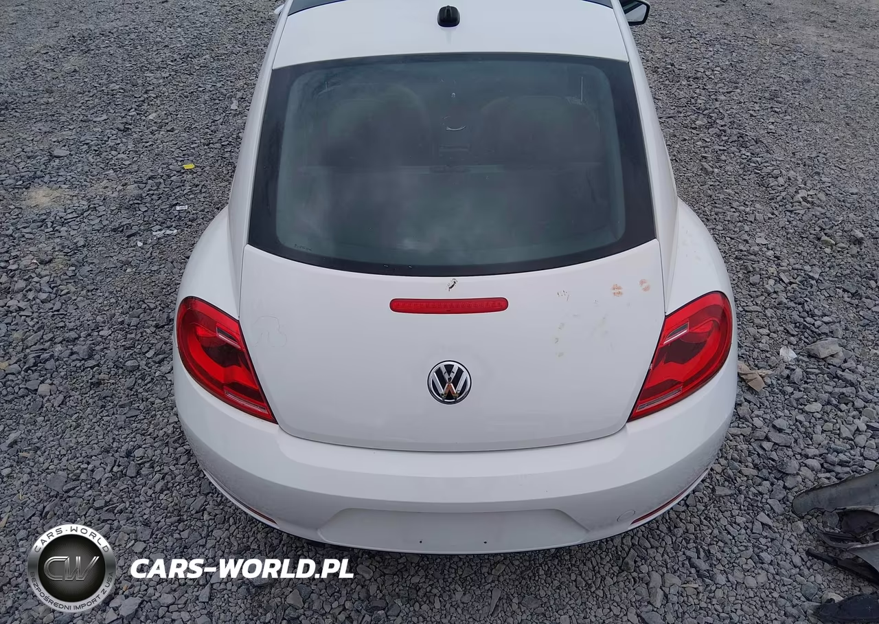 2013 Volkswagen Beetle 2.5L VIN:3VWJP7AT3DM676766 - 17