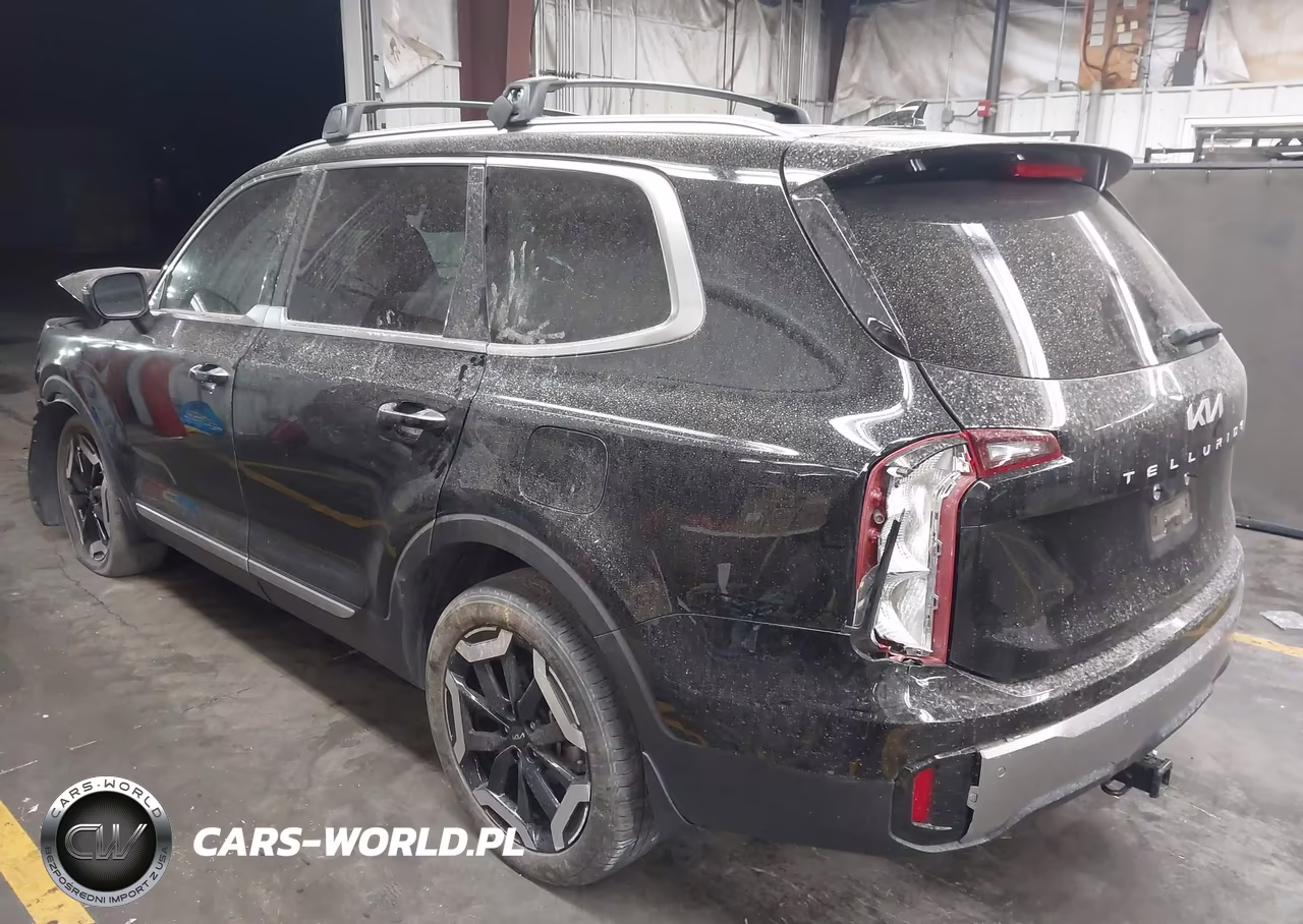 2025 Kia Telluride S VIN:5XYP64GC0SG579069 - 3