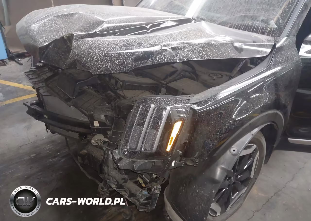 2025 Kia Telluride S VIN:5XYP64GC0SG579069 - 6