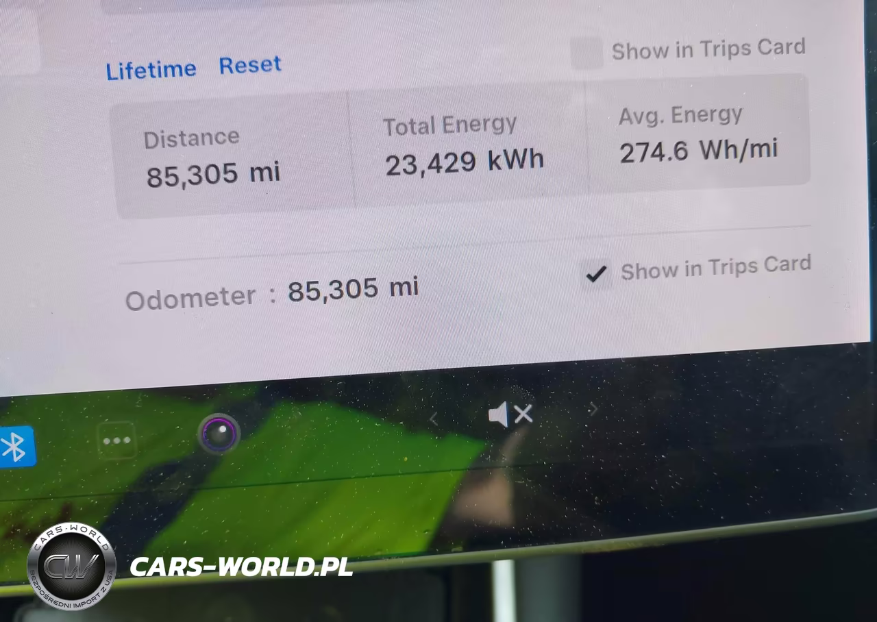 2019 Tesla Model 3 Long Range-Performance VIN:5YJ3E1EB3KF199239 - 16