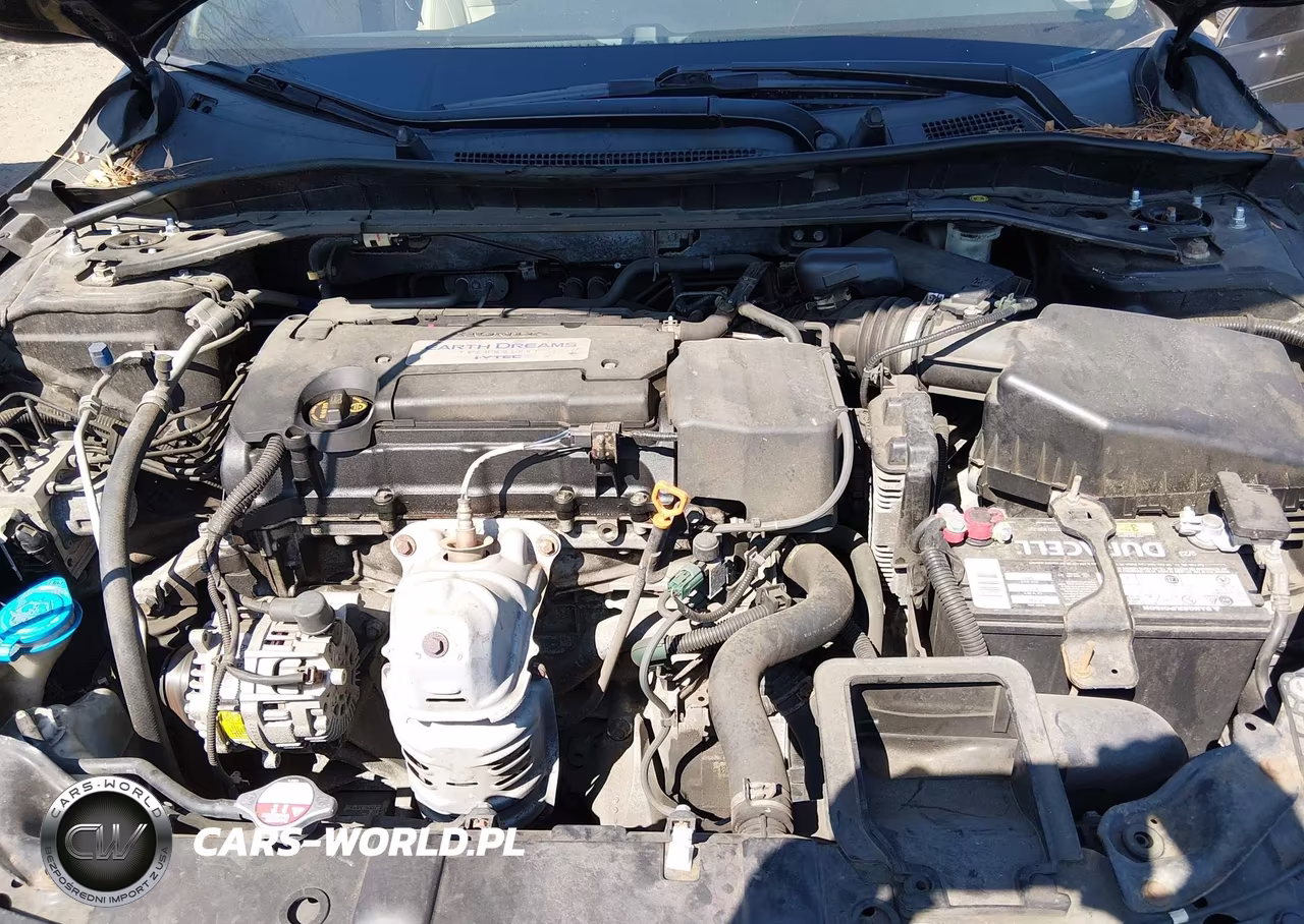 2014 Honda Accord Ex-L VIN:1HGCR2F86EA210942 - 10