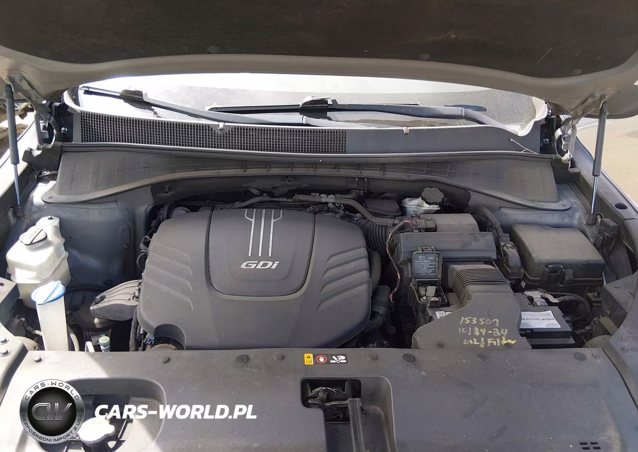 2016 Kia Sorento 3.3L Lx VIN:5XYPGDA59GG158157 - 10