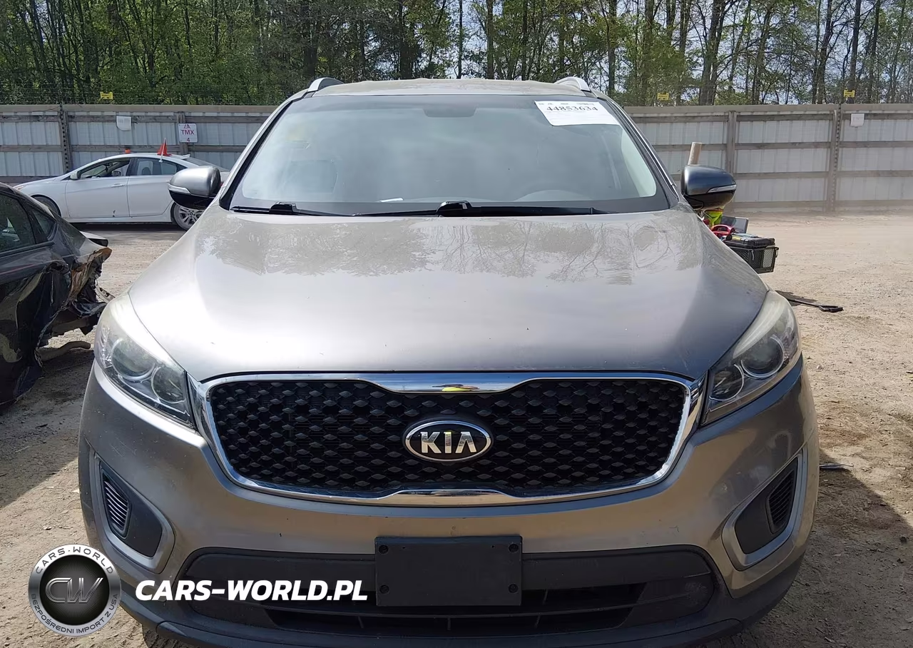 2016 Kia Sorento 3.3L Lx VIN:5XYPGDA59GG158157 - 13