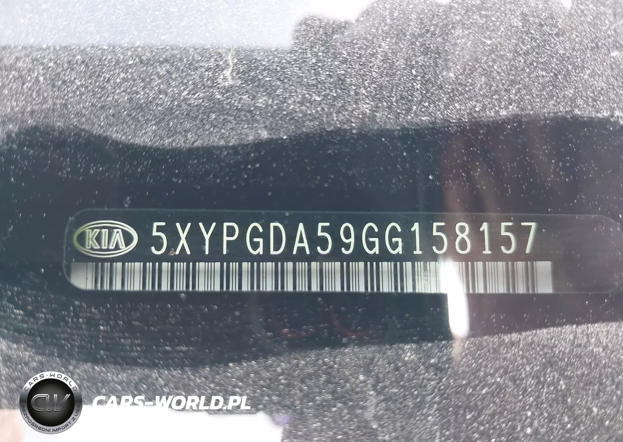 2016 Kia Sorento 3.3L Lx VIN:5XYPGDA59GG158157 - 9
