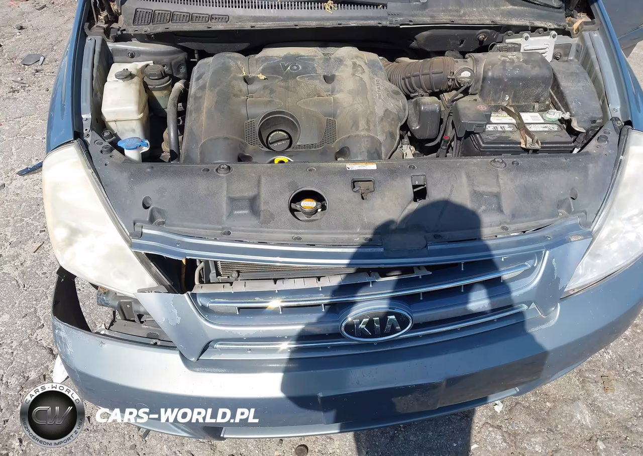 2009 Kia Sedona Ex VIN:KNDMB233096304534 - 10