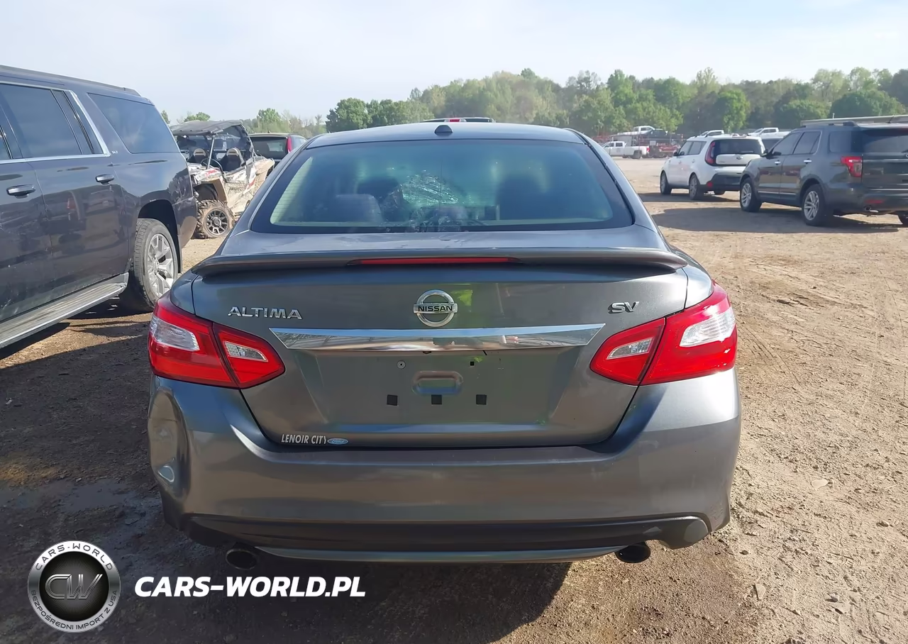 2016 Nissan Altima 2.5 Sv VIN:1N4AL3AP1GC244344 - 17