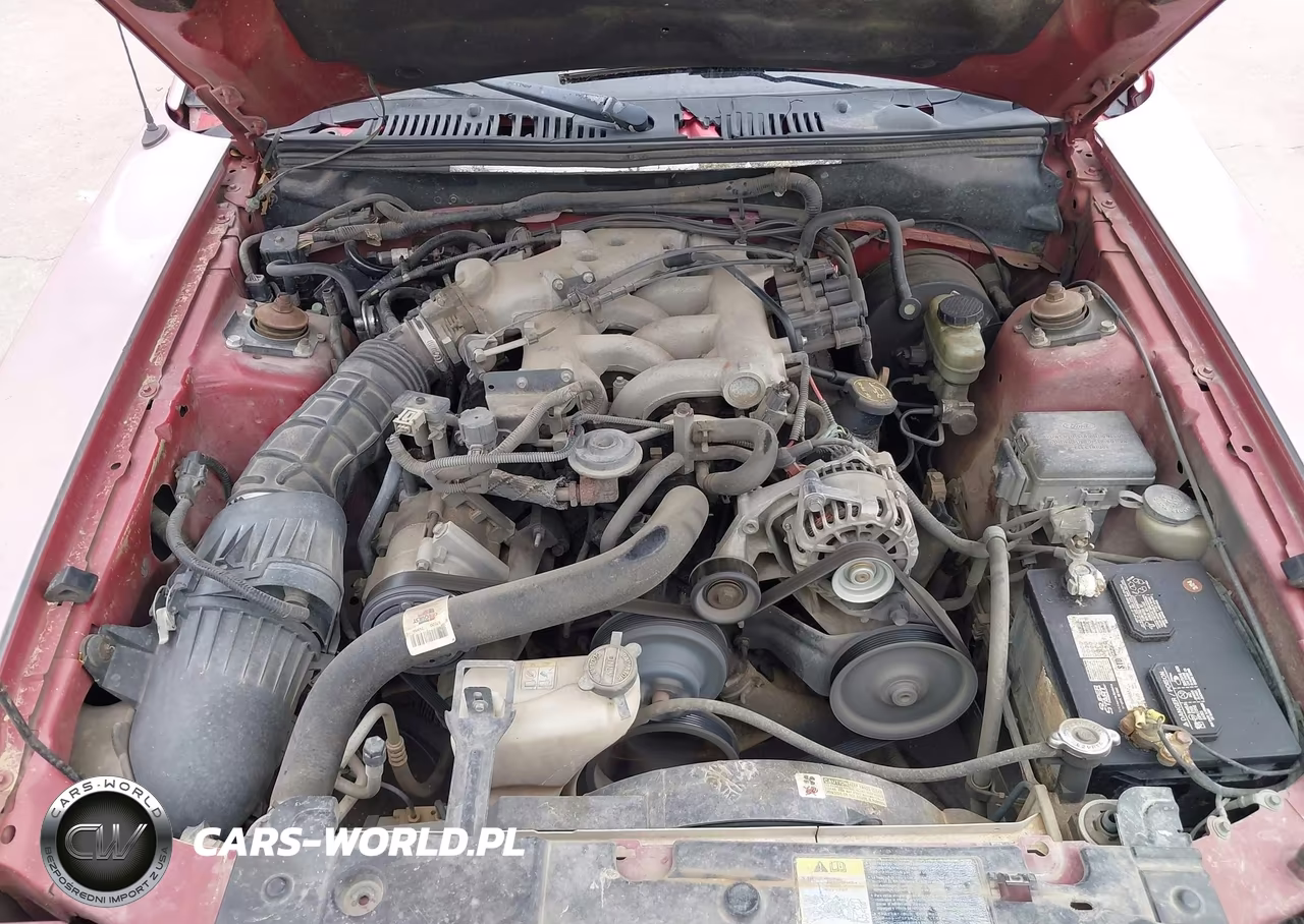 2001 Ford Mustang VIN:1FAFP40451F169161 - 10