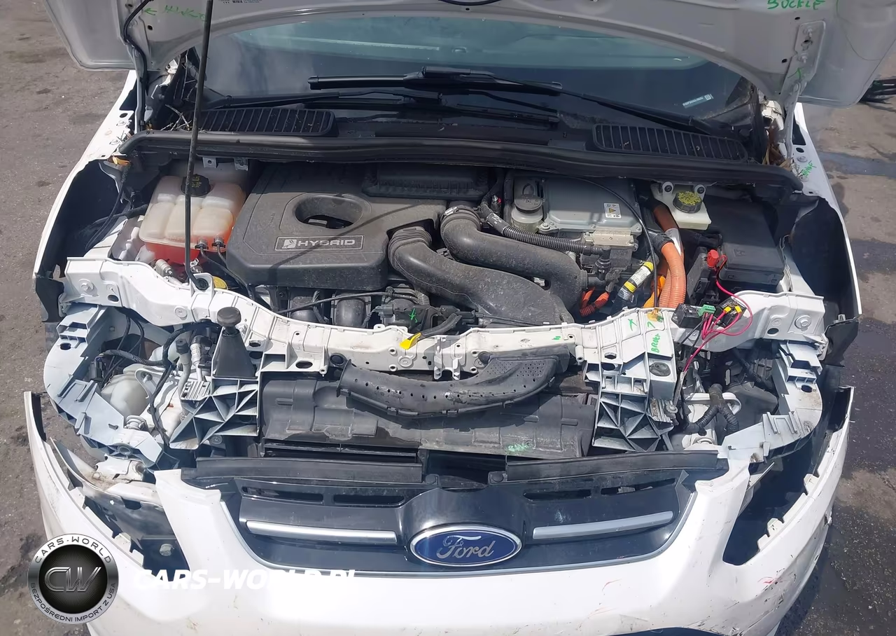 2018 Ford C-Max Hybrid Se VIN:1FADP5AU4JL100202 - 10
