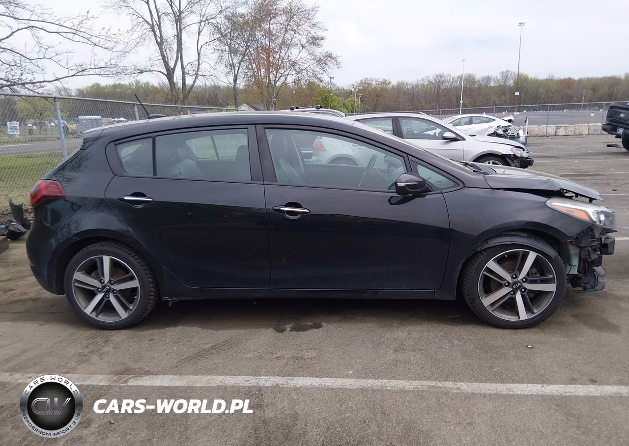 2017 Kia Forte Ex VIN:KNAFX5A87H5712749 - 13