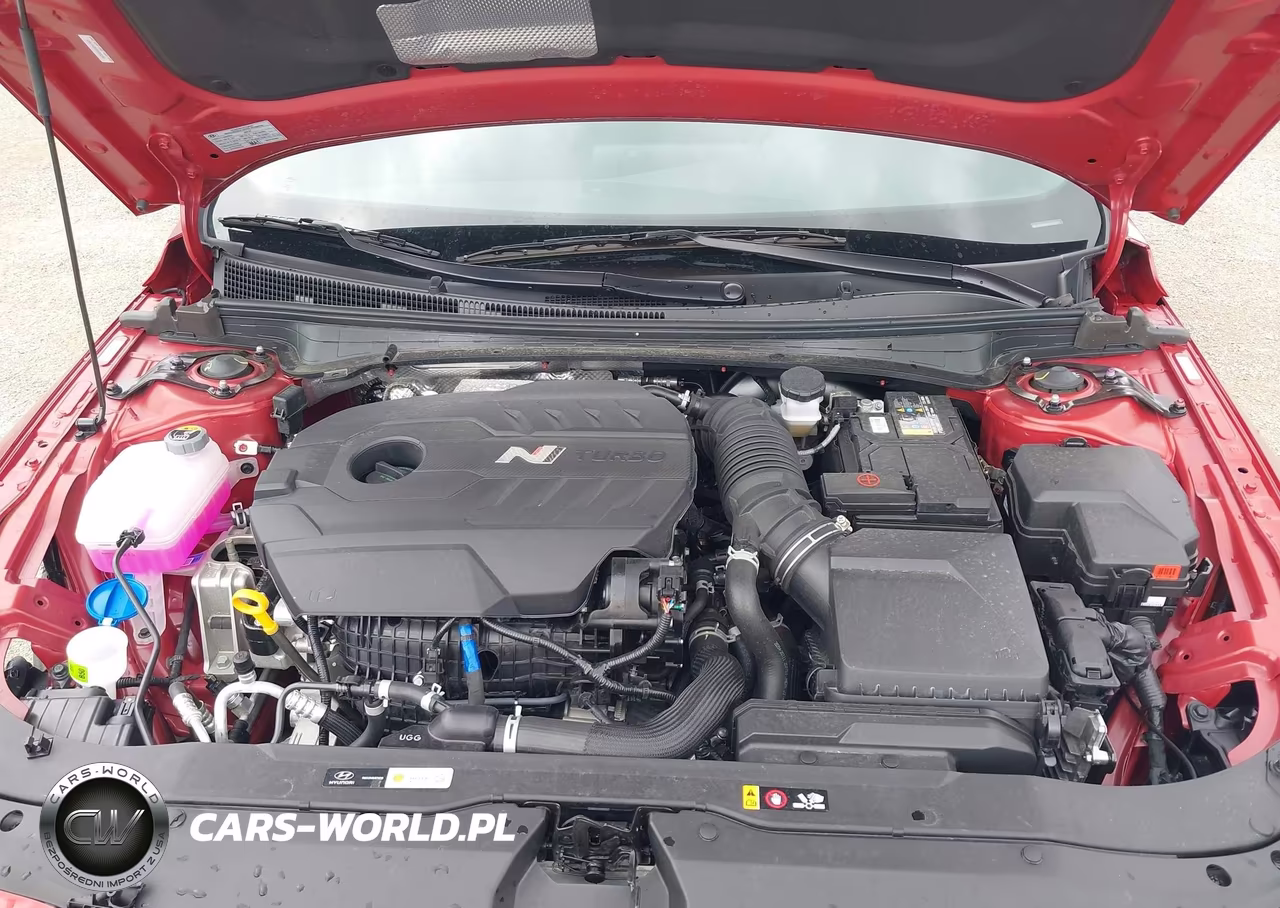 2025 Hyundai Elantra N VIN:KMHLW4DKXSU035294 - 10