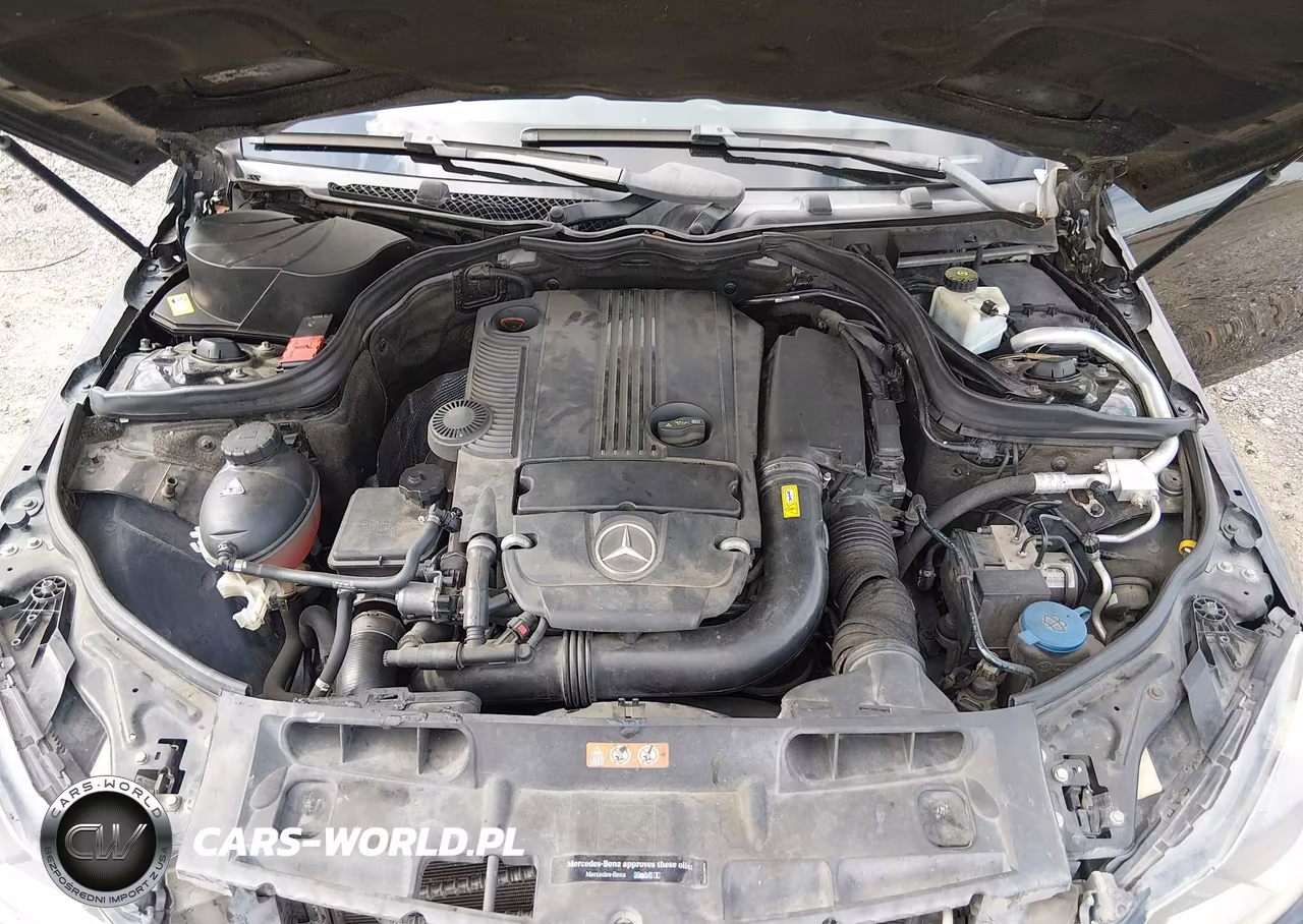 2015 Mercedes-Benz C 250 VIN:WDDGJ4HB2FG400804 - 10