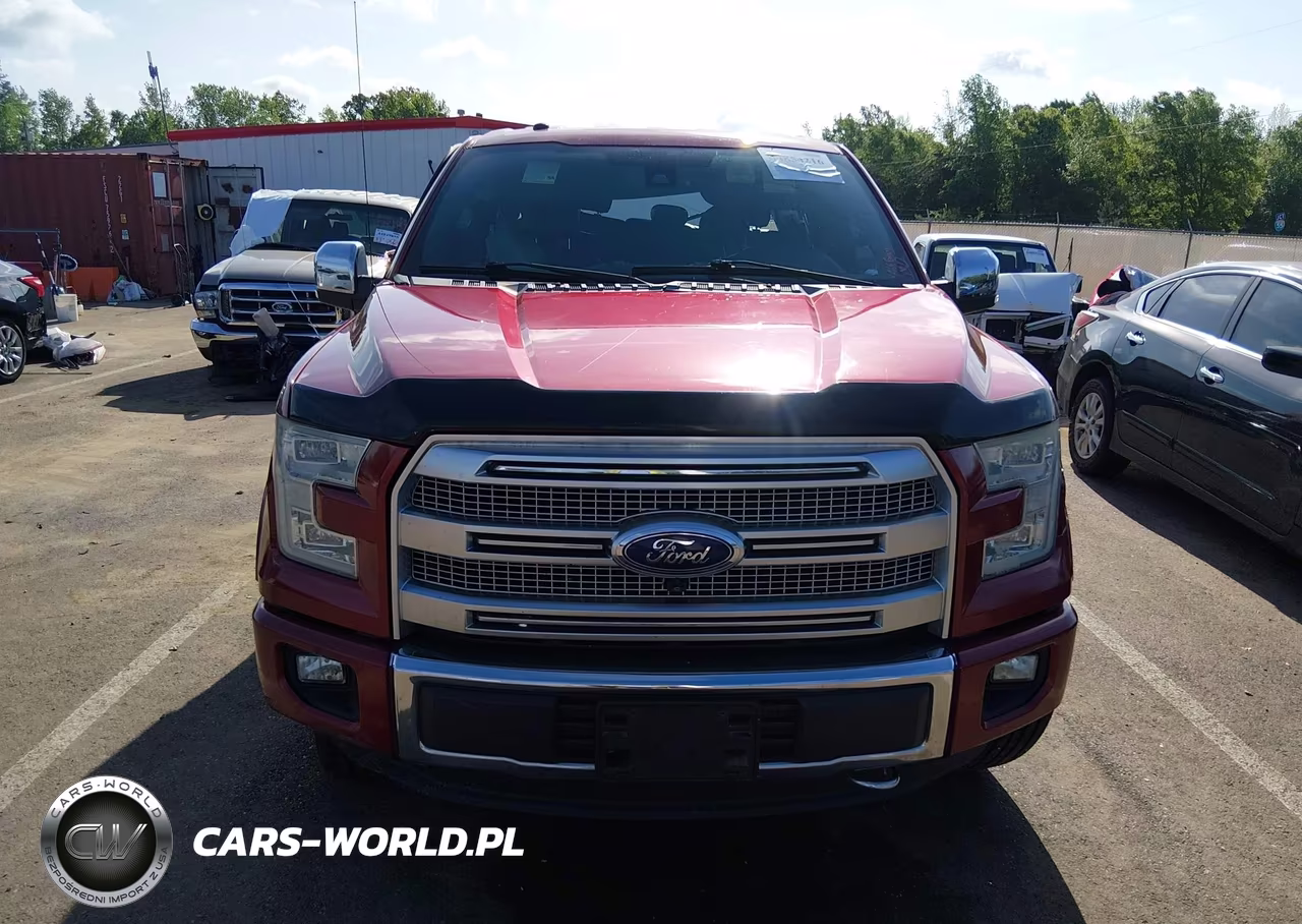 2016 Ford F-150 Platinum VIN:1FTEW1EF9GFA43556 - 13