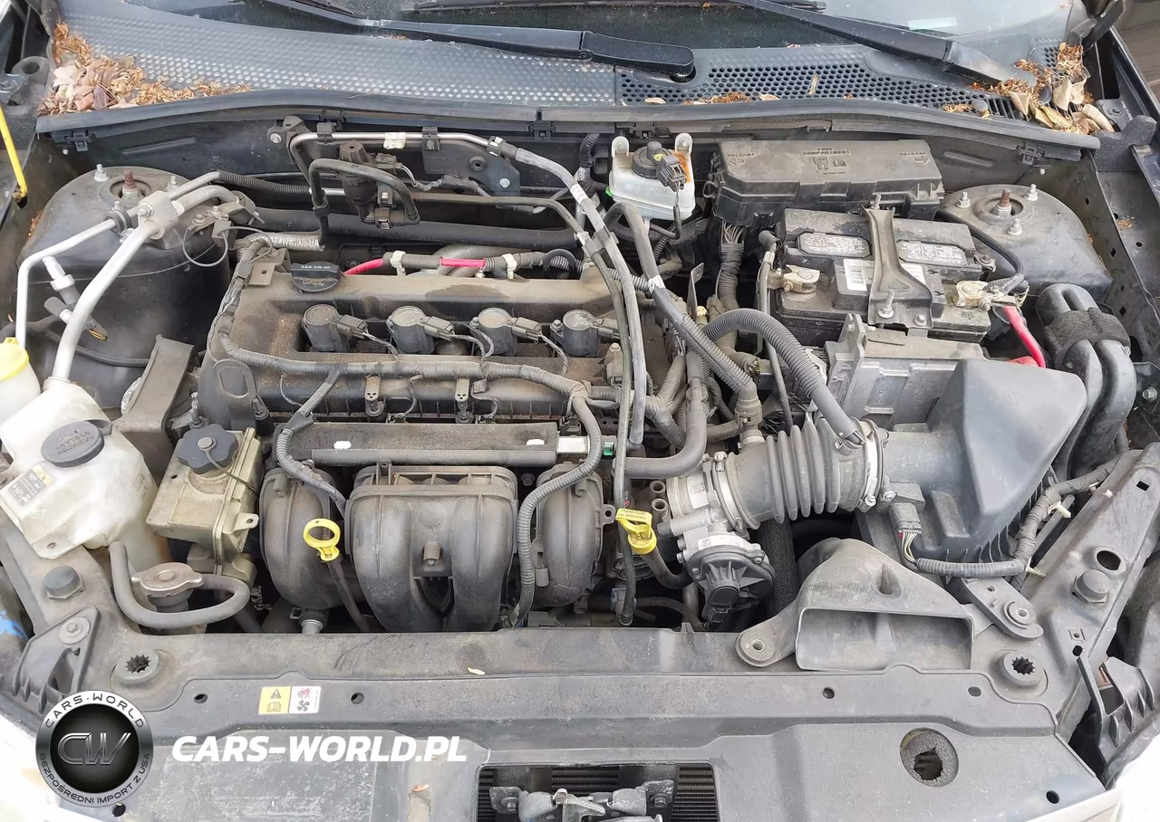 2010 Ford Focus Se VIN:1FAHP3FN5AW223030 - 10