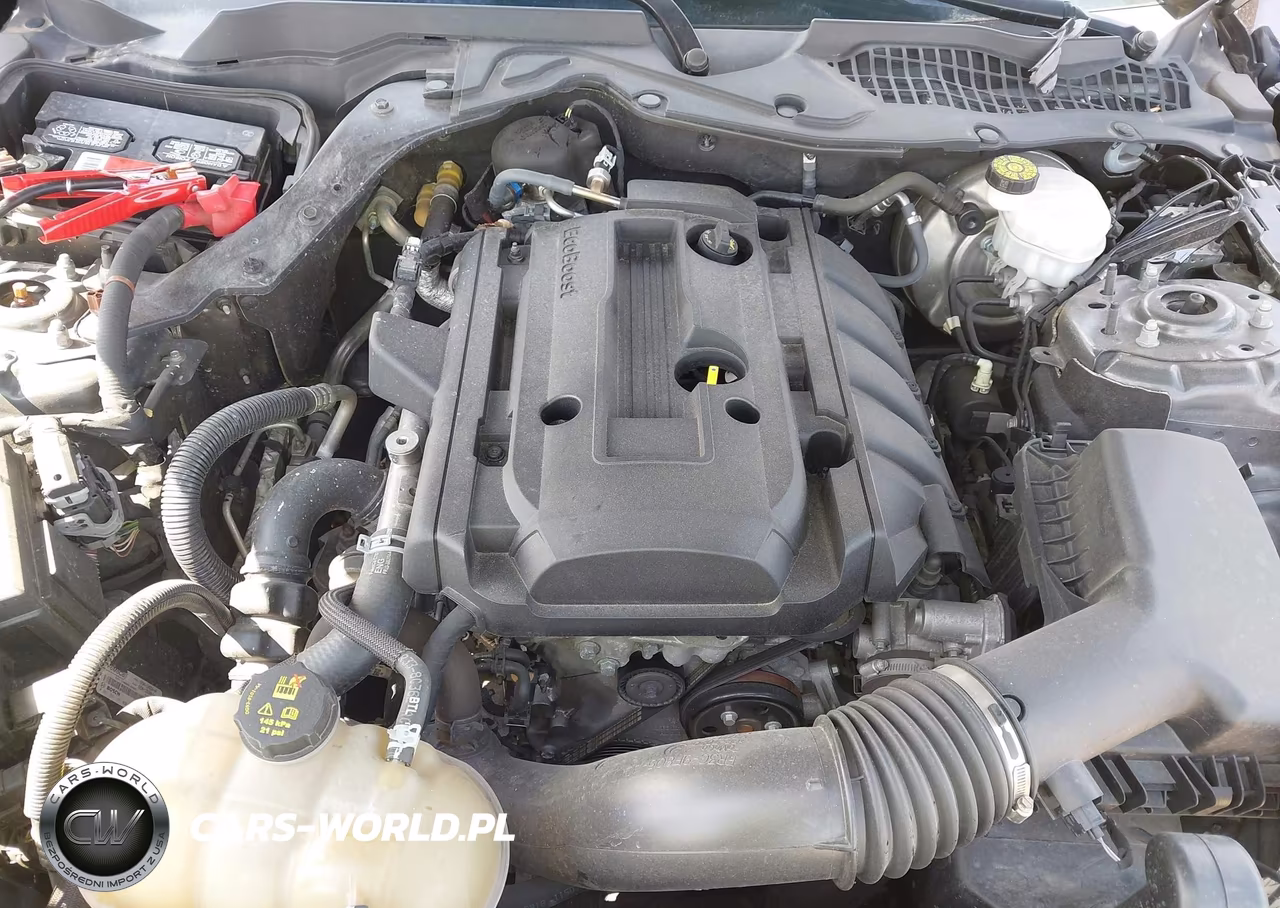 2019 Ford Mustang Ecoboost Premium VIN:1FA6P8TH7K5132948 - 10