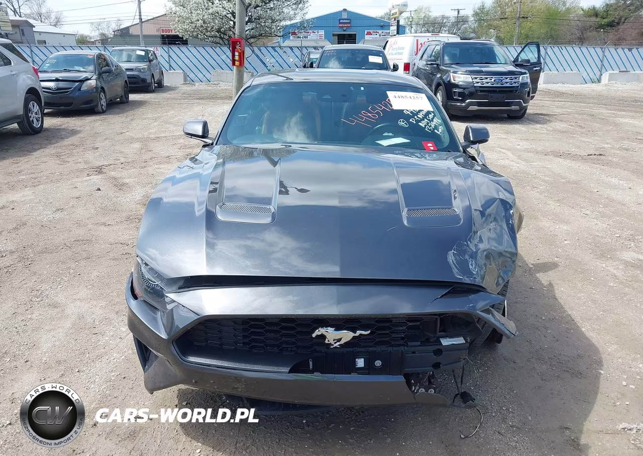 2019 Ford Mustang Ecoboost Premium VIN:1FA6P8TH7K5132948 - 12