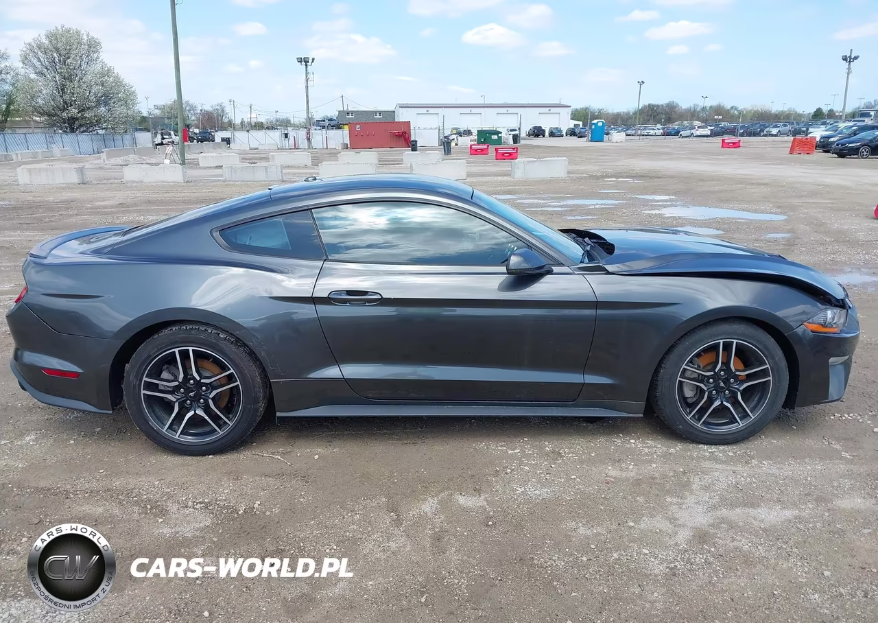 2019 Ford Mustang Ecoboost Premium VIN:1FA6P8TH7K5132948 - 13