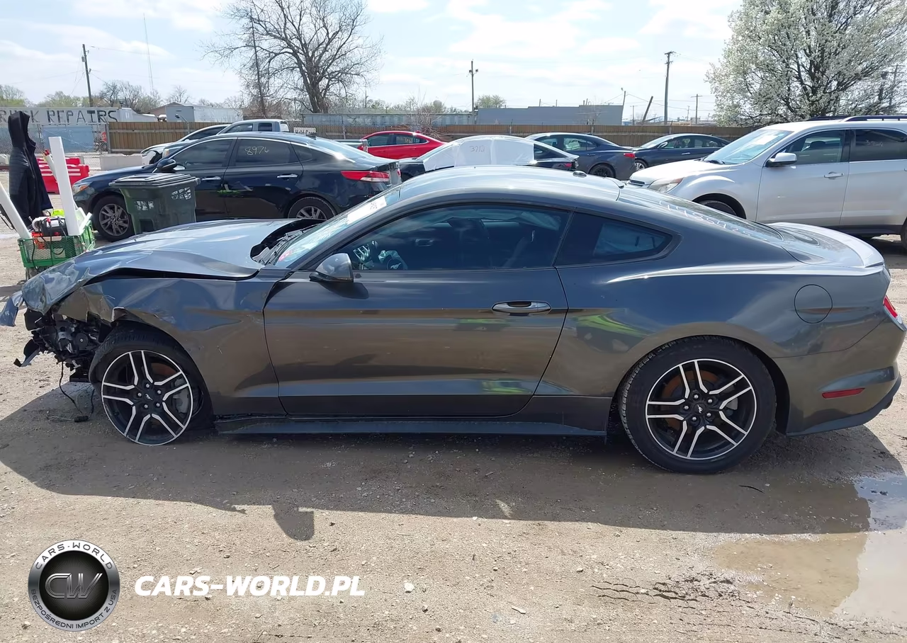 2019 Ford Mustang Ecoboost Premium VIN:1FA6P8TH7K5132948 - 14