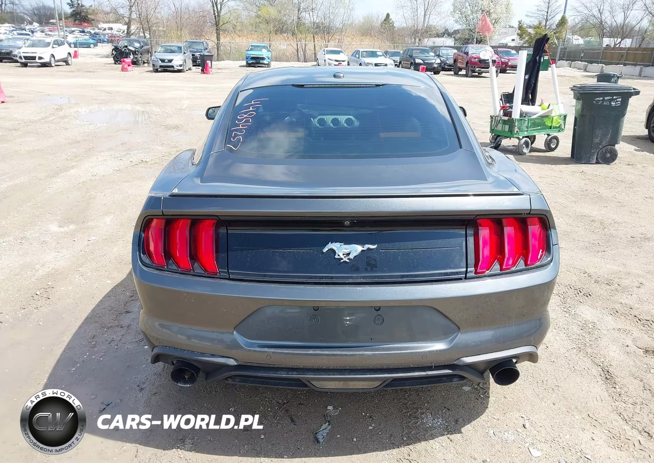 2019 Ford Mustang Ecoboost Premium VIN:1FA6P8TH7K5132948 - 16