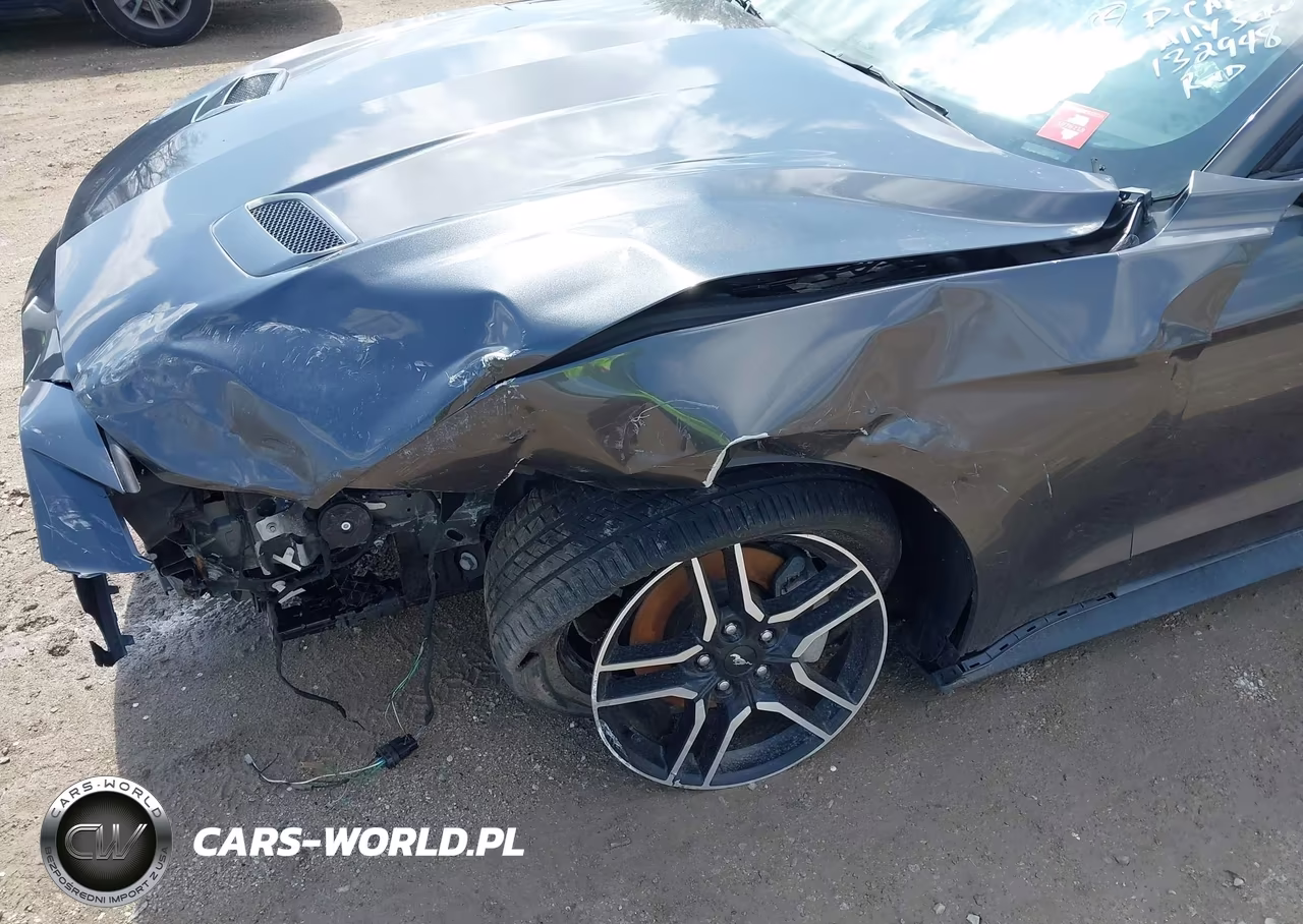 2019 Ford Mustang Ecoboost Premium VIN:1FA6P8TH7K5132948 - 17