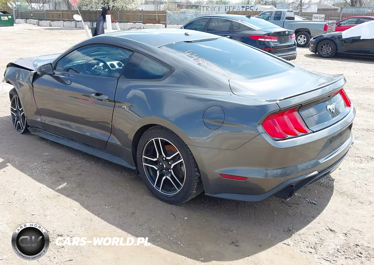 2019 Ford Mustang Ecoboost Premium VIN:1FA6P8TH7K5132948 - 3